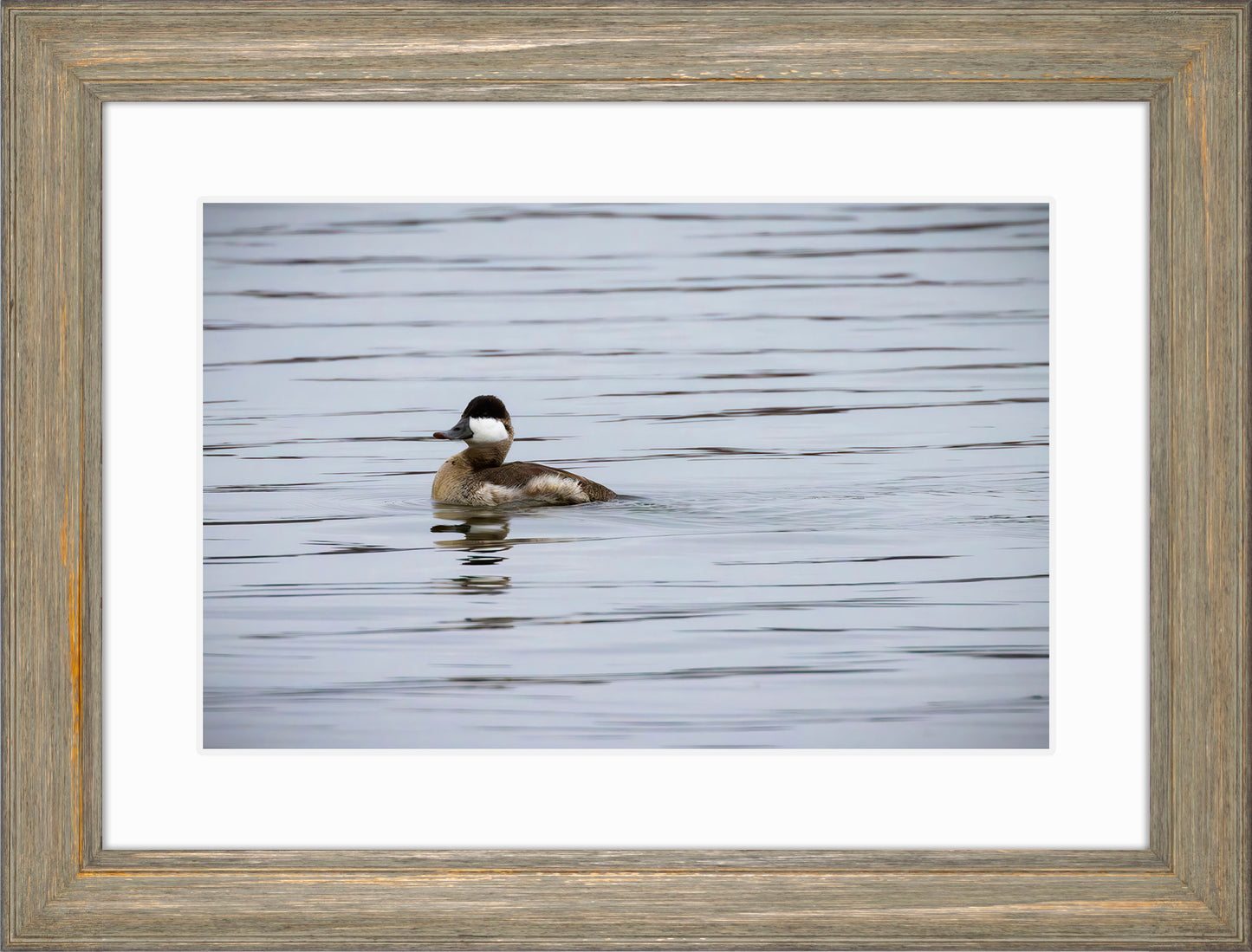 Solo Ruddy Drake #3