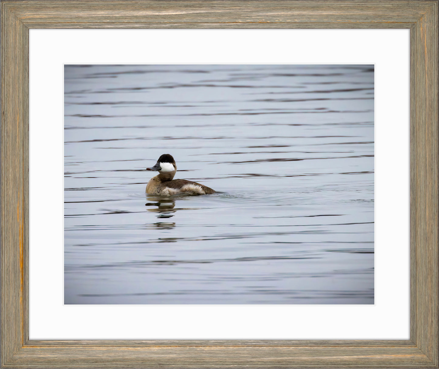 Solo Ruddy Drake #3