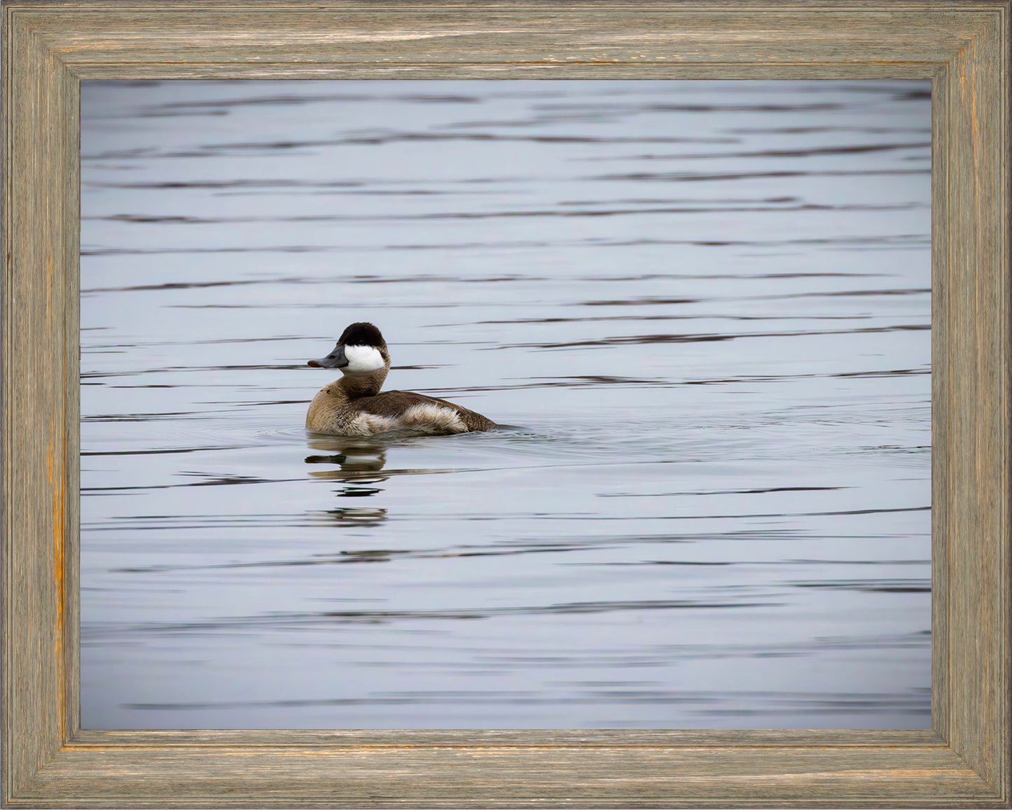 Solo Ruddy Drake #3