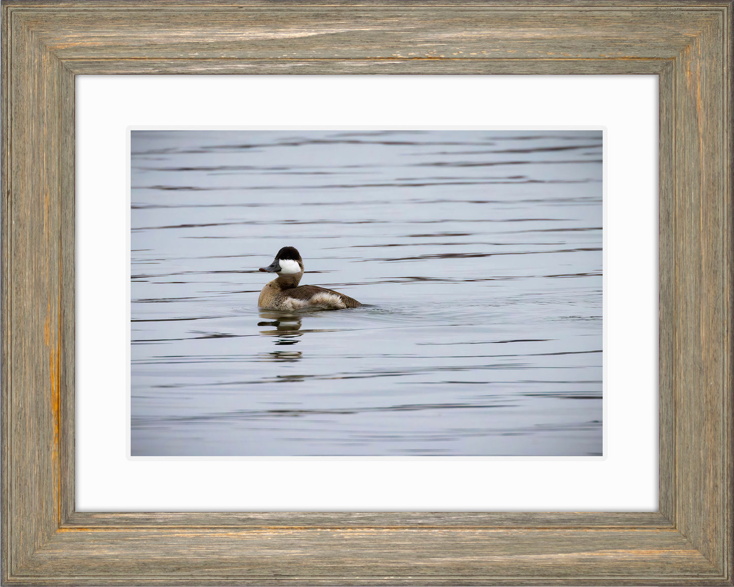 Solo Ruddy Drake #3