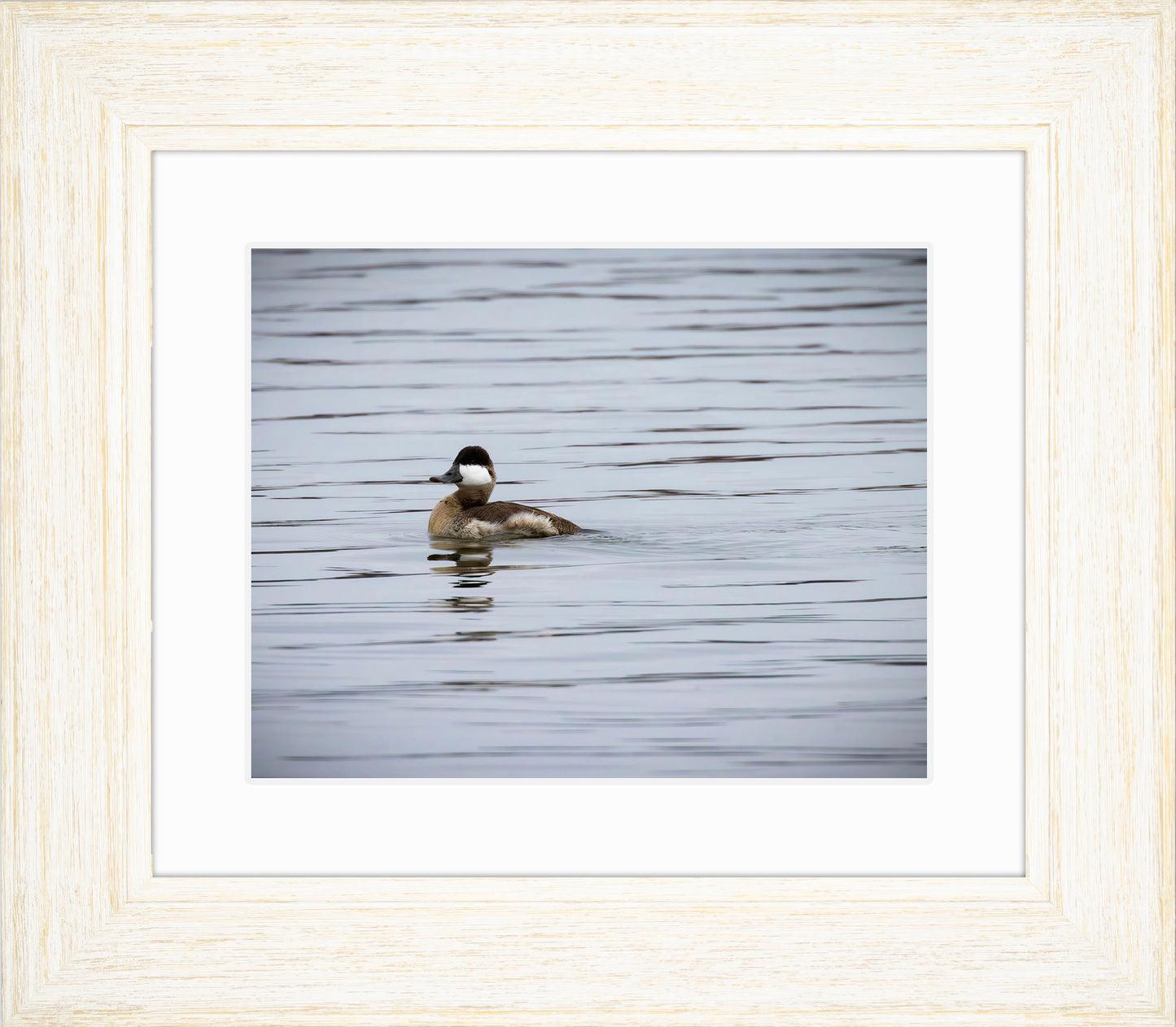 Solo Ruddy Drake #3