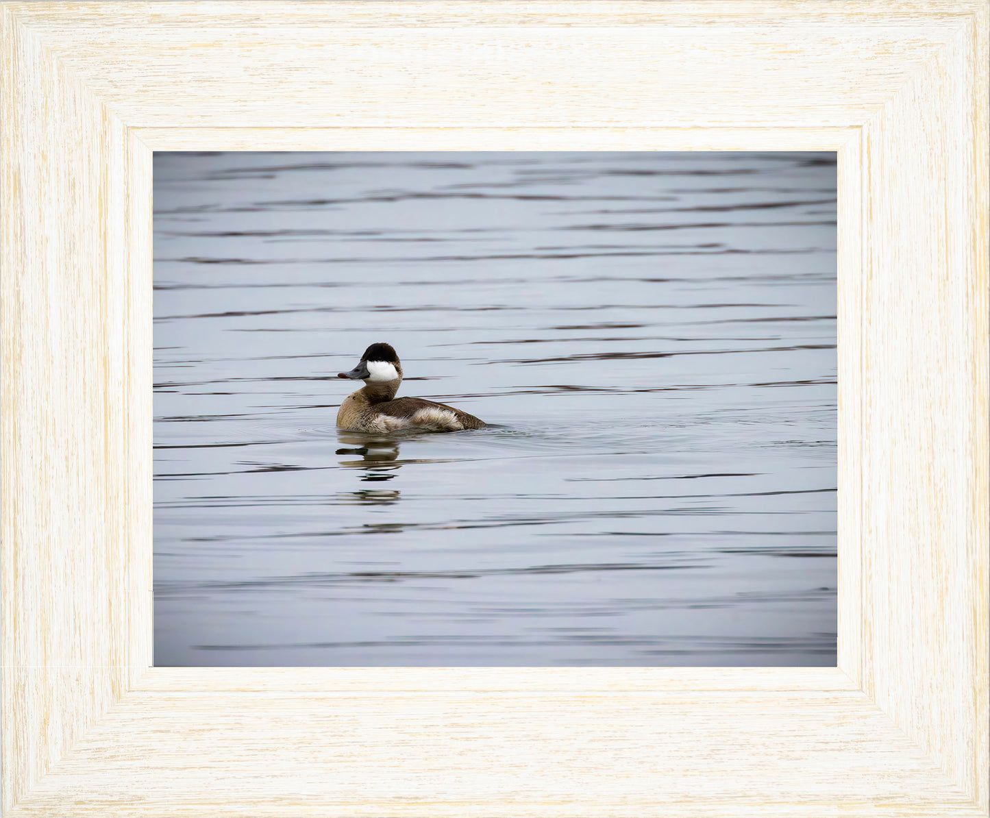 Solo Ruddy Drake #3