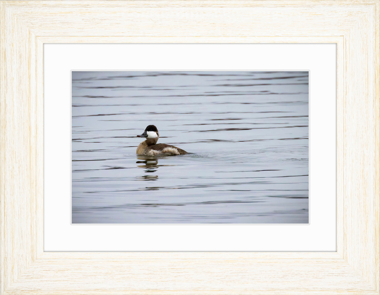 Solo Ruddy Drake #3