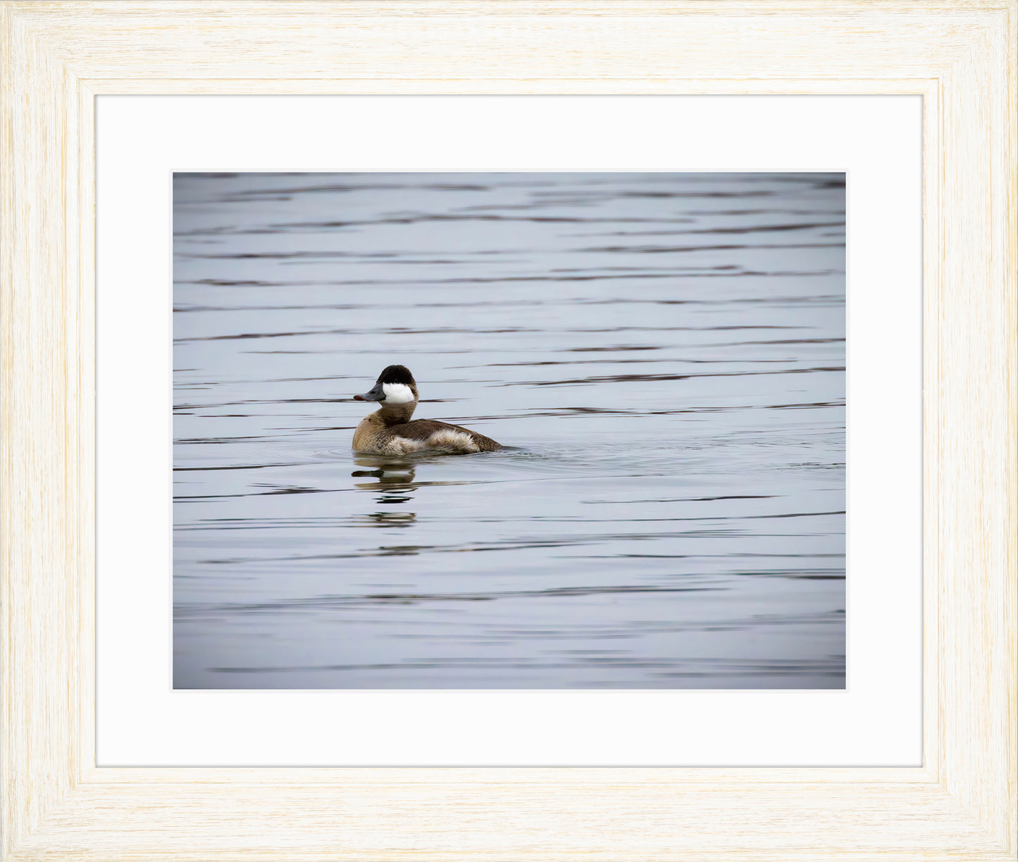 Solo Ruddy Drake #3