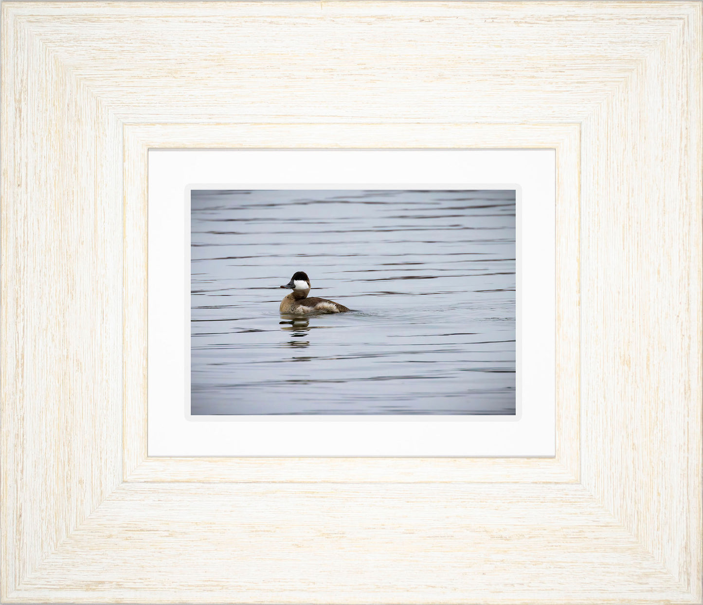 Solo Ruddy Drake #3