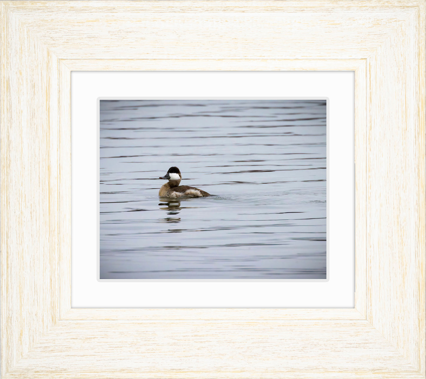 Solo Ruddy Drake #3