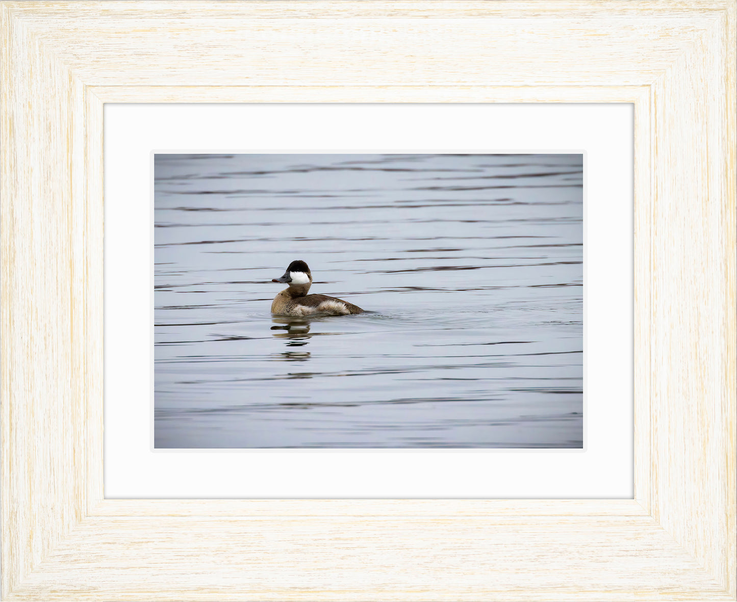 Solo Ruddy Drake #3