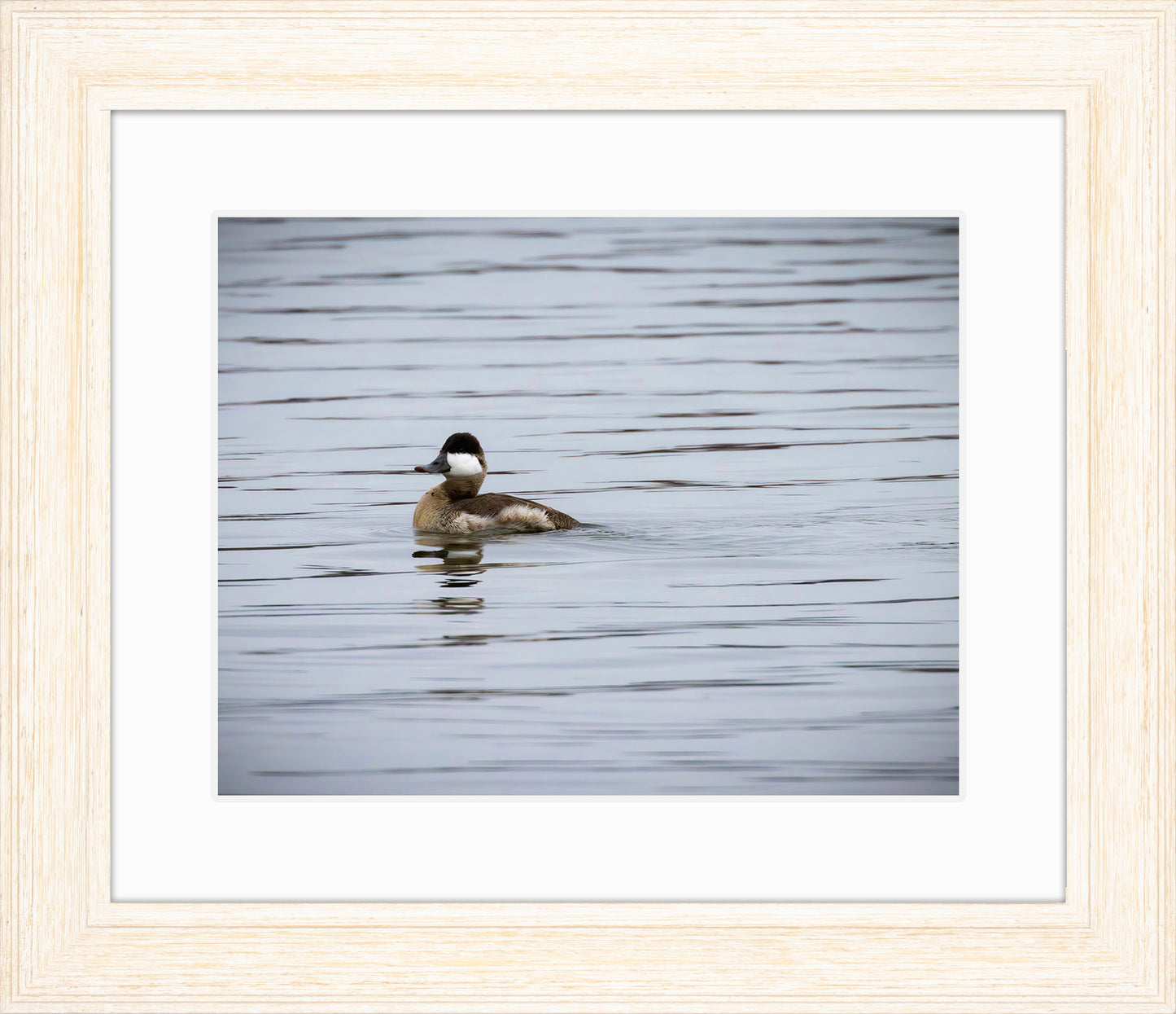 Solo Ruddy Drake #3