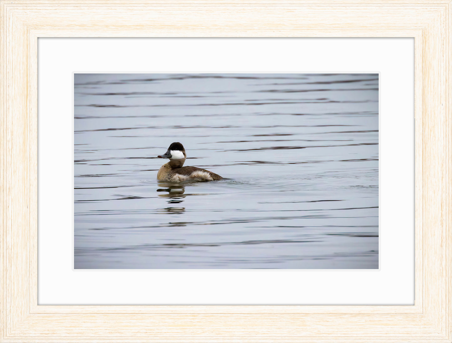 Solo Ruddy Drake #3