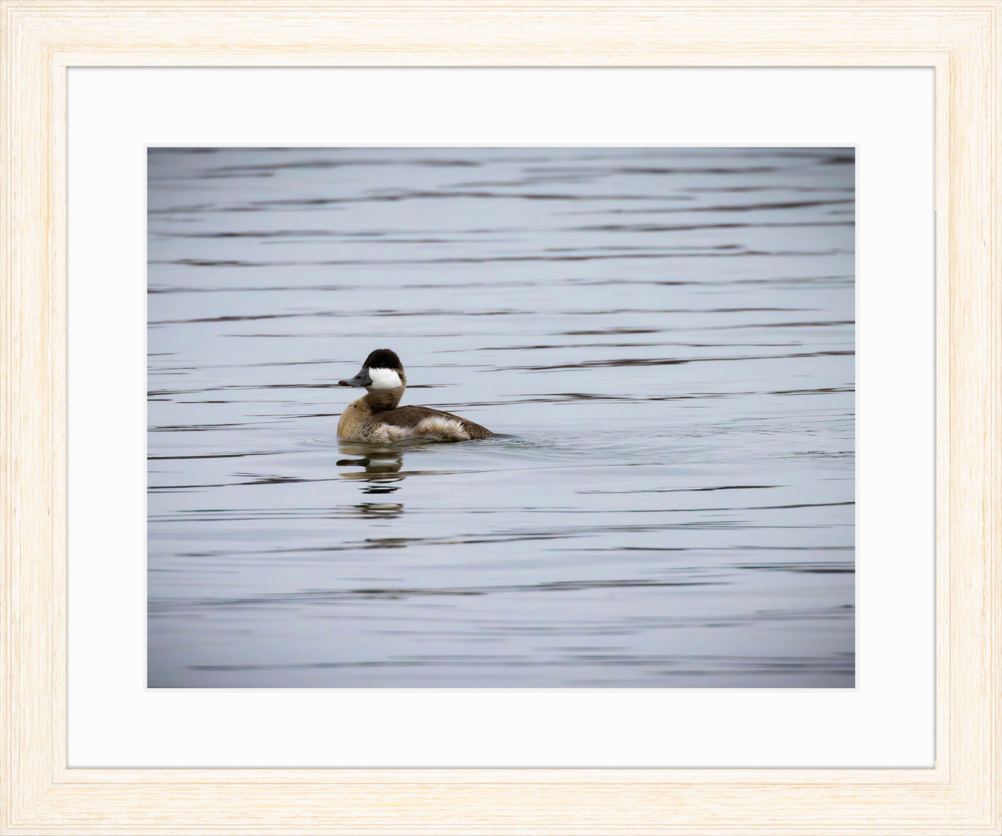 Solo Ruddy Drake #3