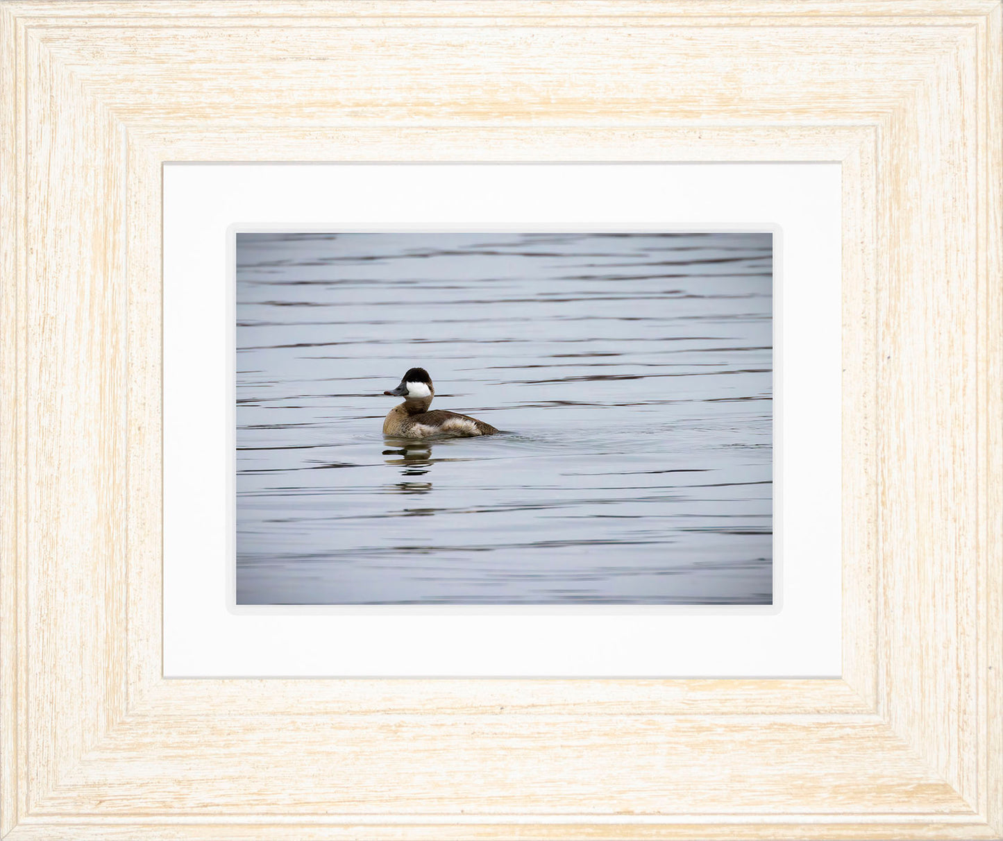 Solo Ruddy Drake #3
