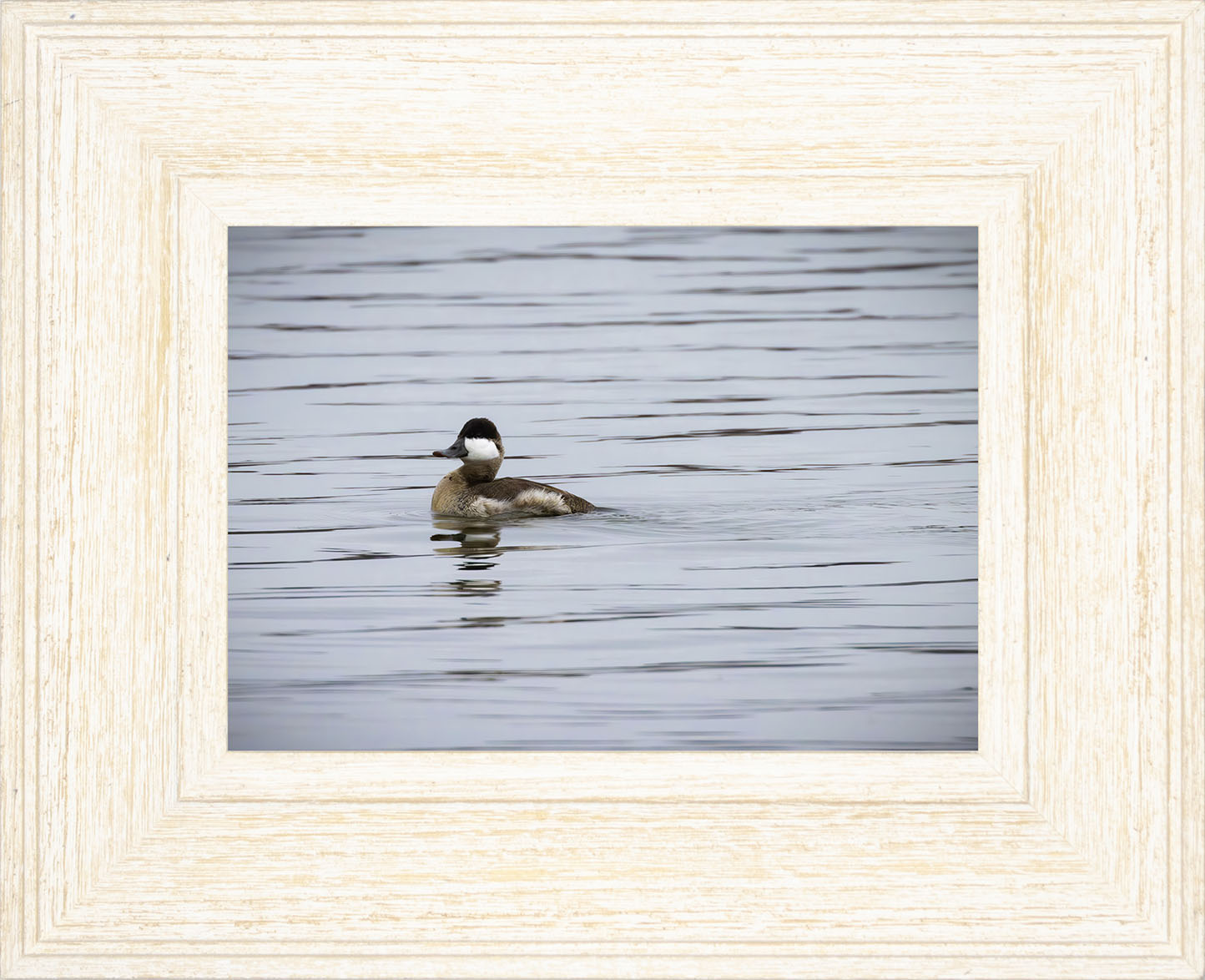 Solo Ruddy Drake #3