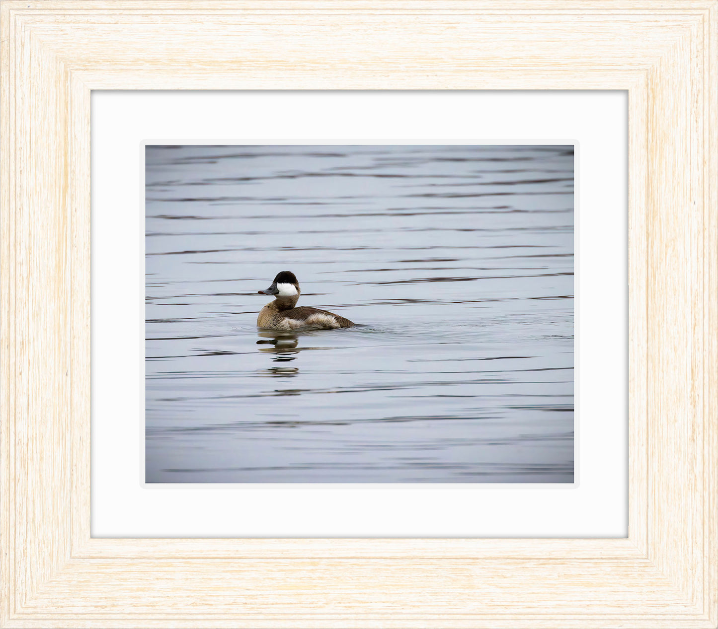 Solo Ruddy Drake #3