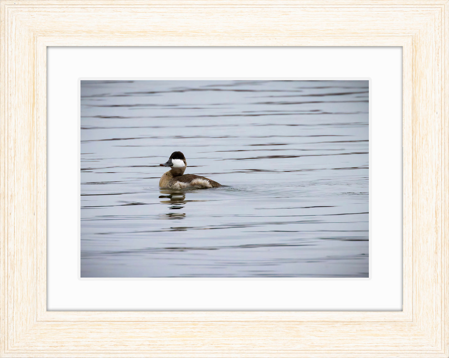 Solo Ruddy Drake #3