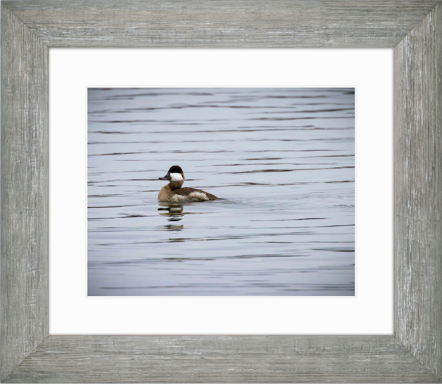 Solo Ruddy Drake #3