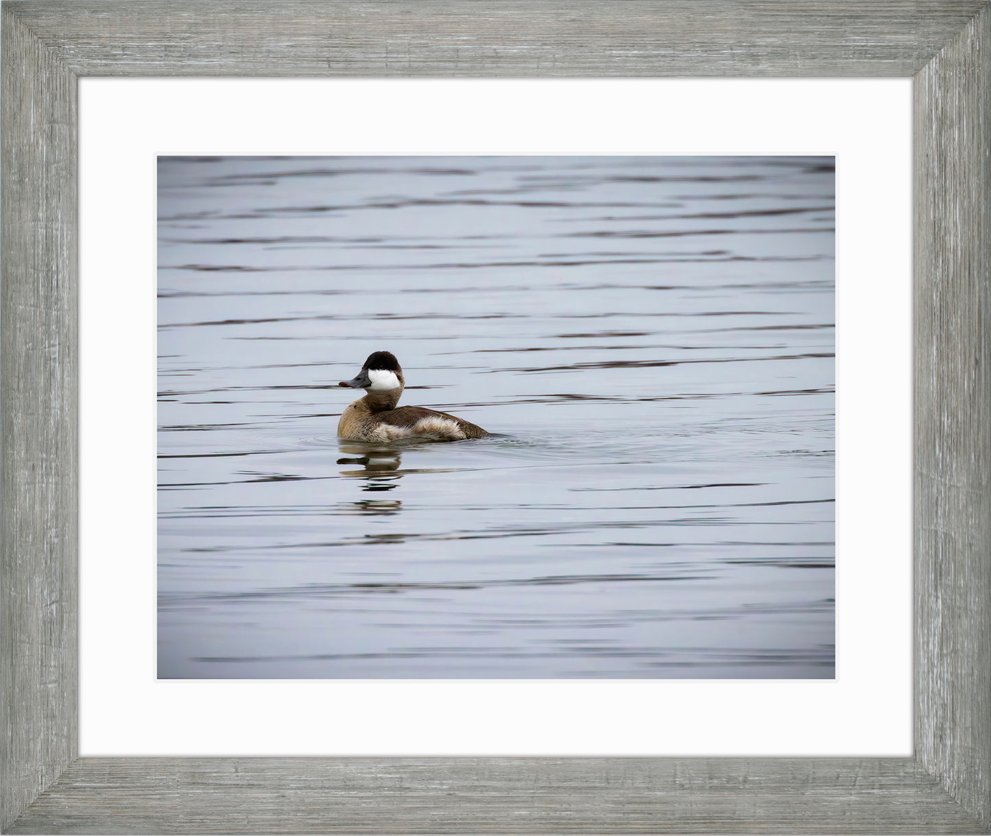 Solo Ruddy Drake #3