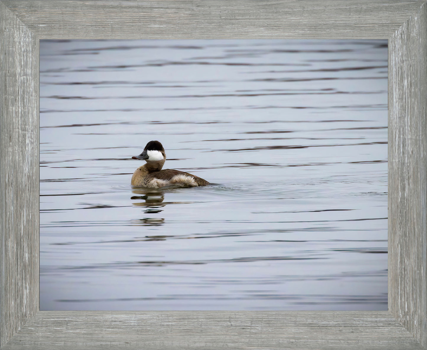 Solo Ruddy Drake #3