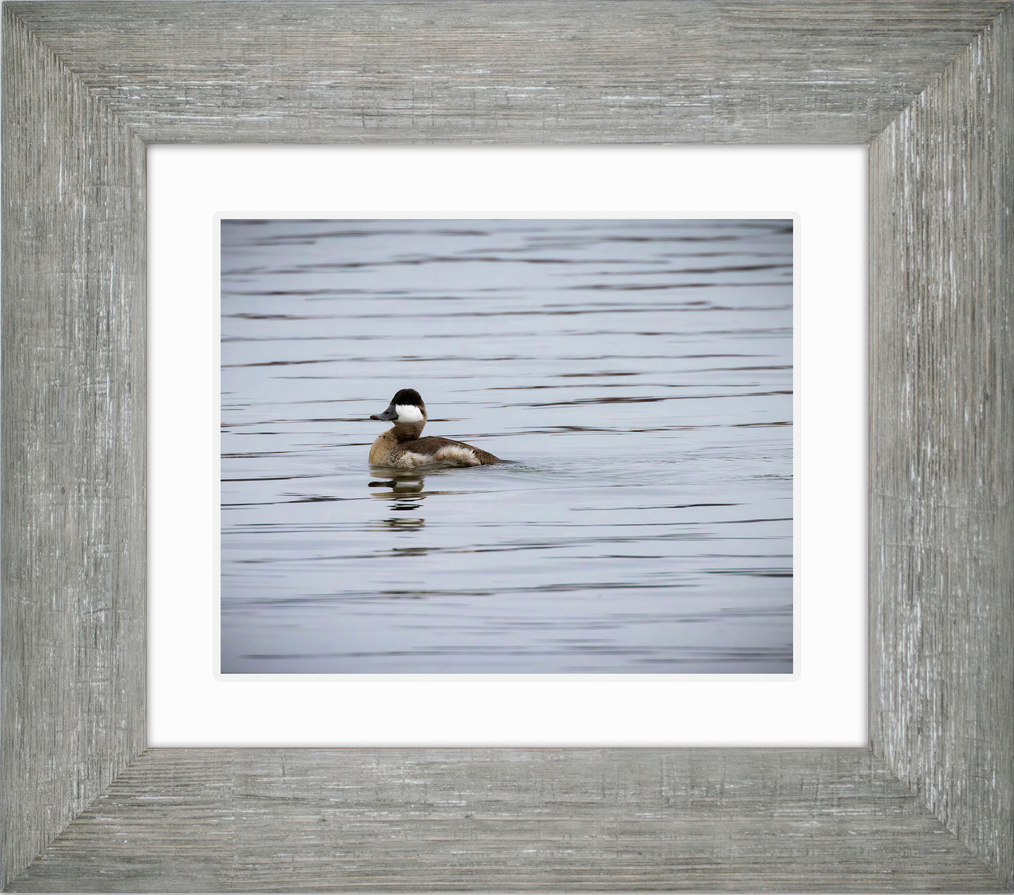 Solo Ruddy Drake #3