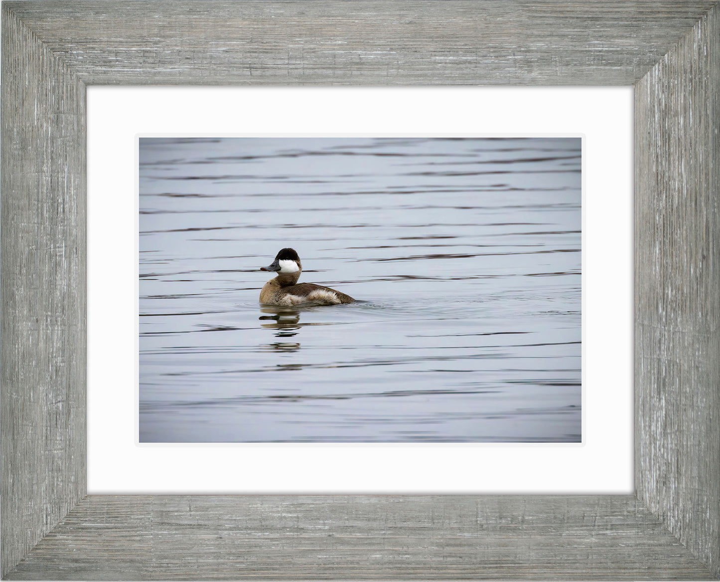 Solo Ruddy Drake #3