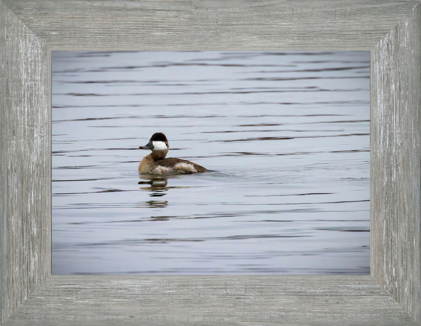 Solo Ruddy Drake #3