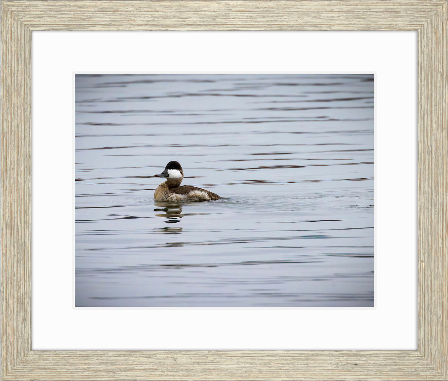 Solo Ruddy Drake #3