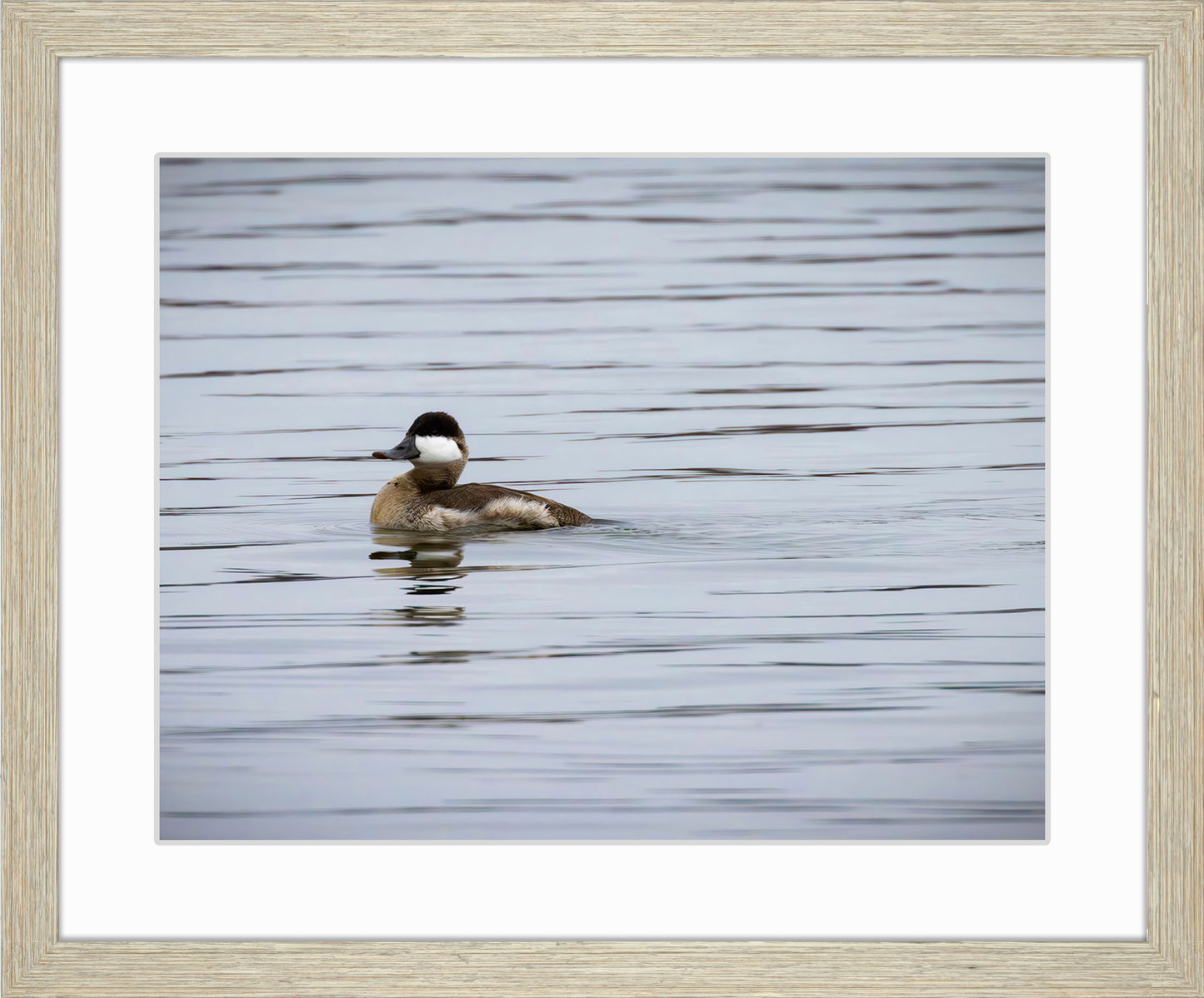 Solo Ruddy Drake #3