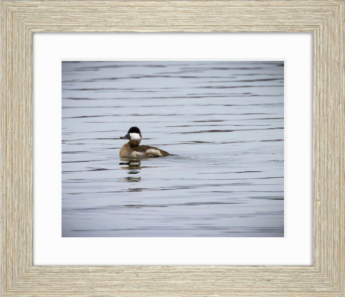 Solo Ruddy Drake #3