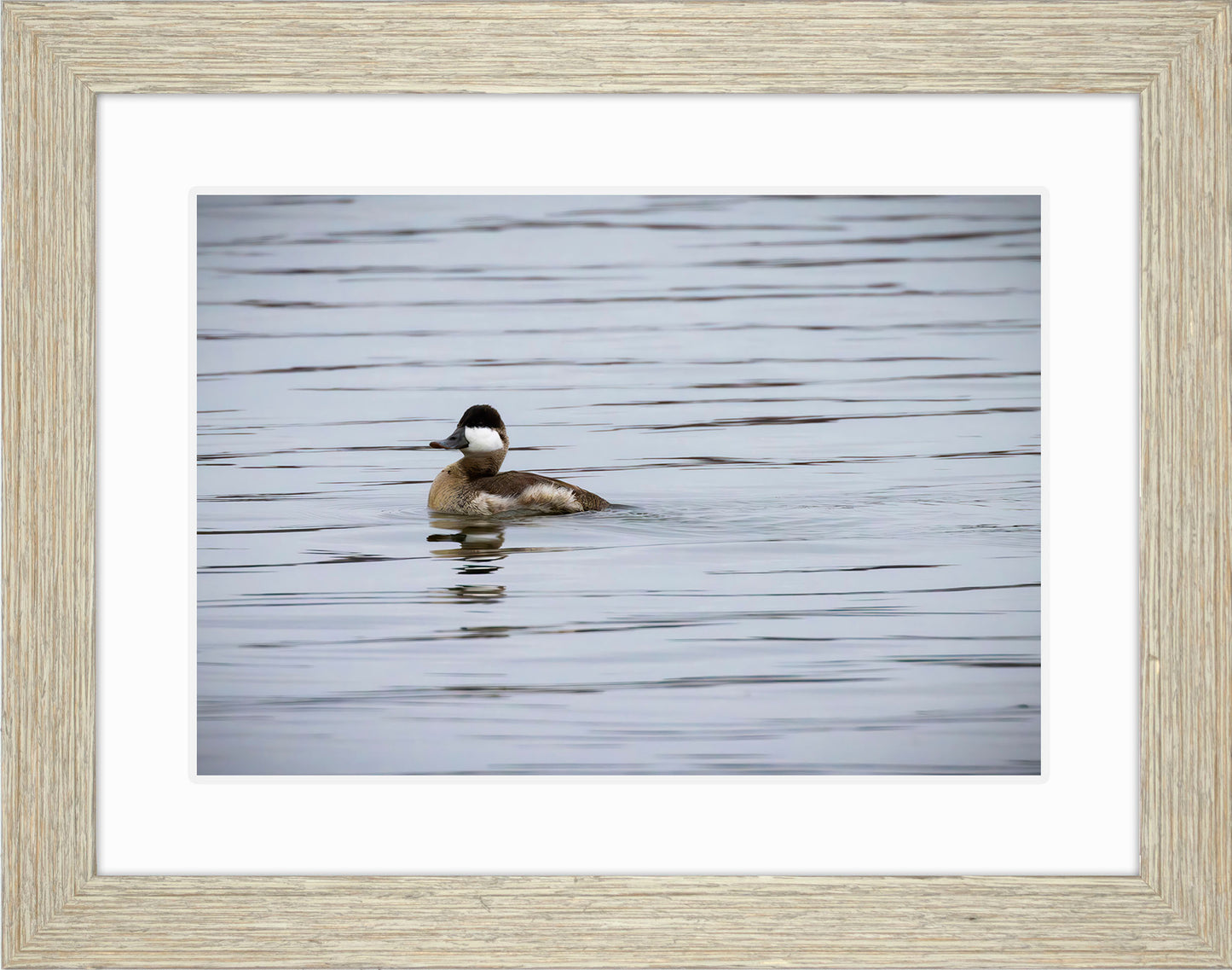 Solo Ruddy Drake #3