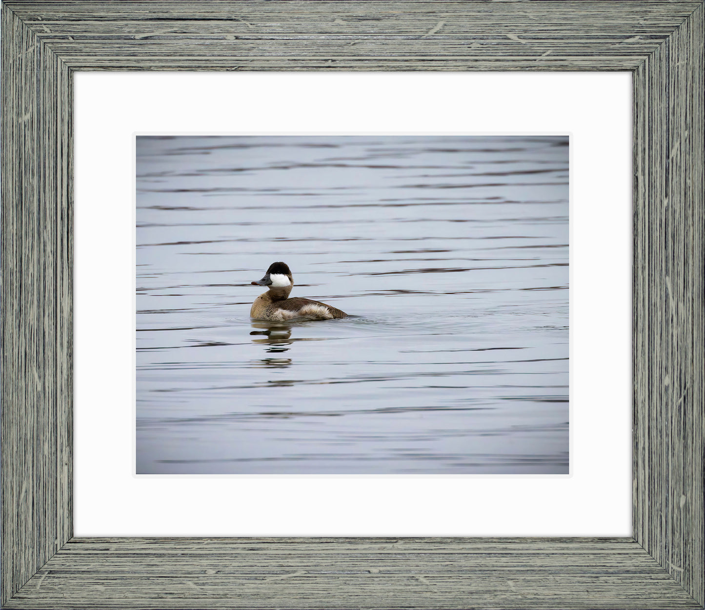 Solo Ruddy Drake #3