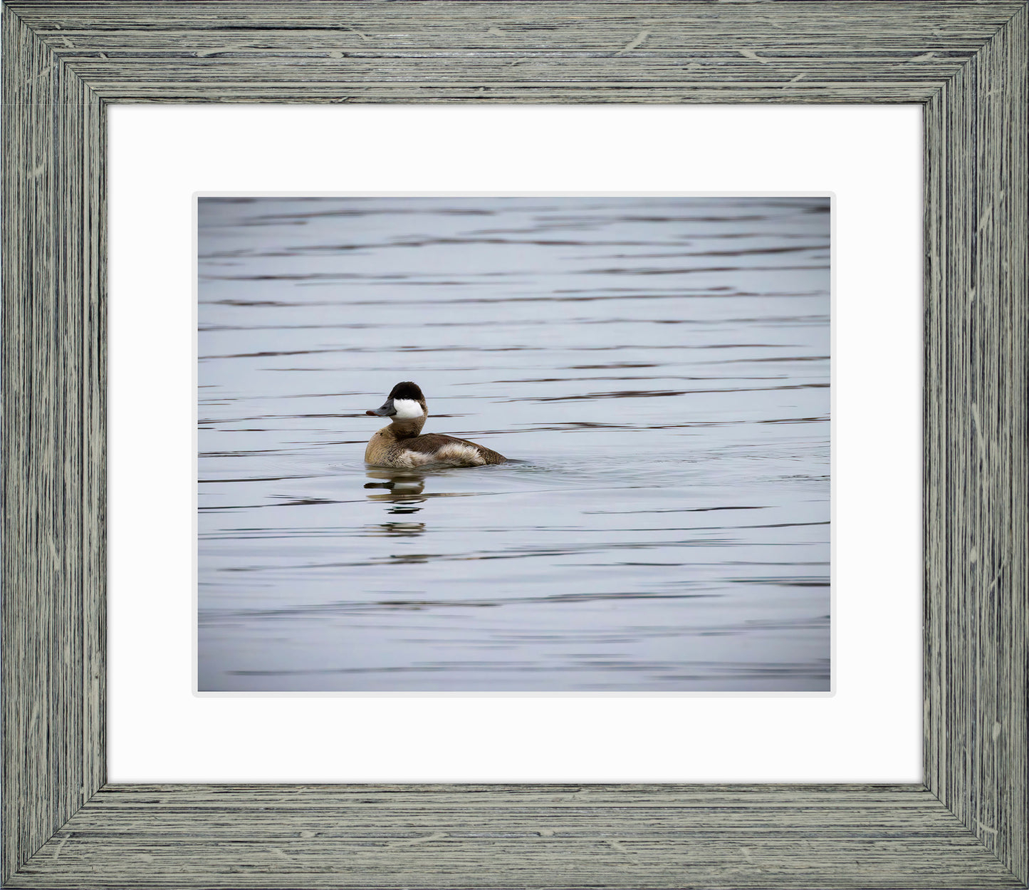 Solo Ruddy Drake #3