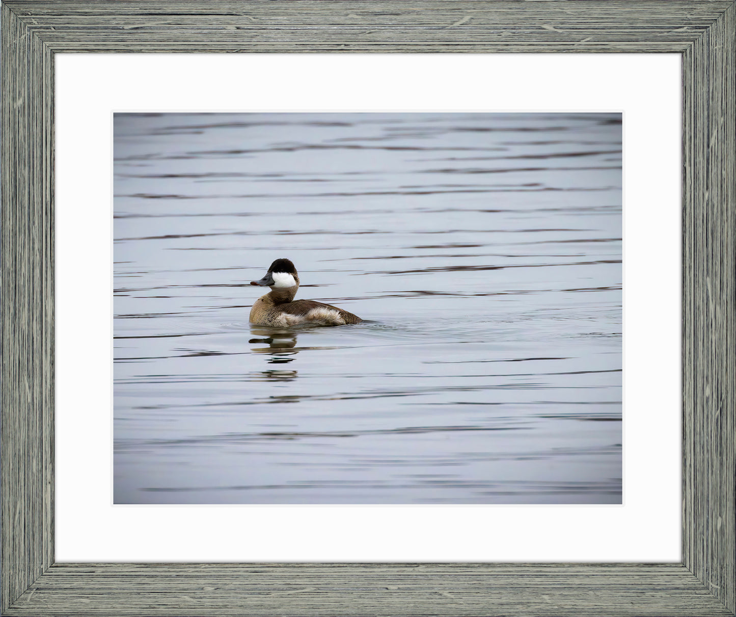 Solo Ruddy Drake #3