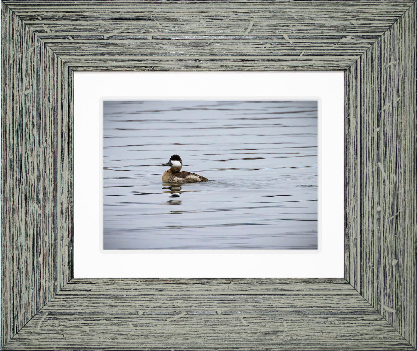 Solo Ruddy Drake #3