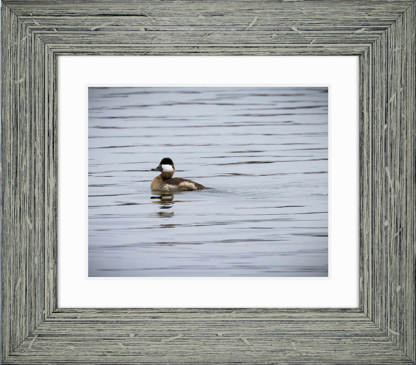 Solo Ruddy Drake #3