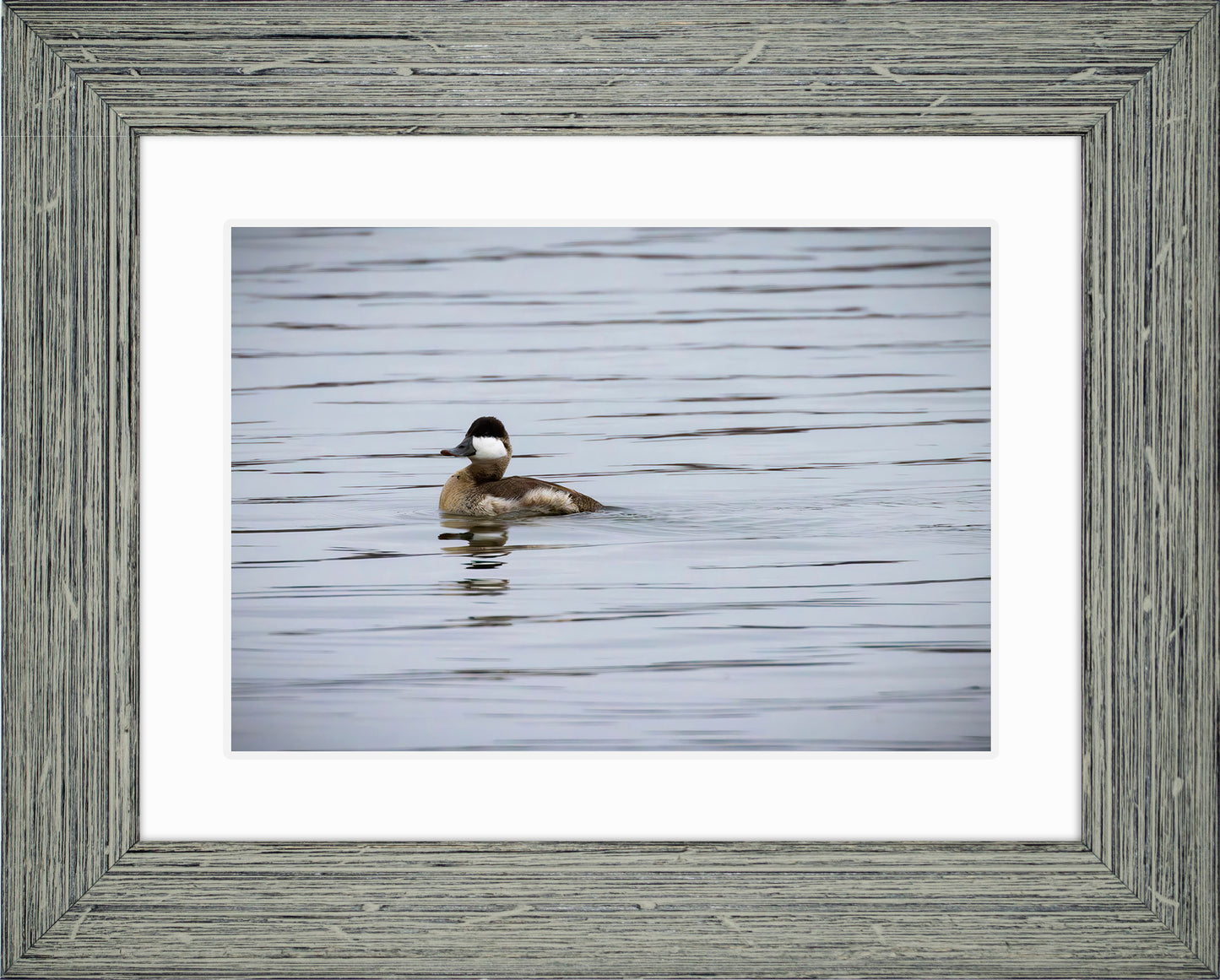Solo Ruddy Drake #3