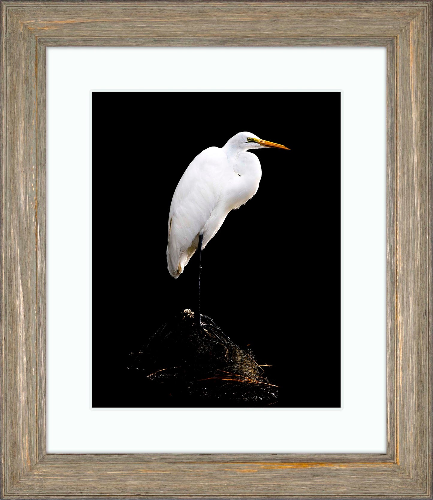 Studio in the Wild -- Digital Print