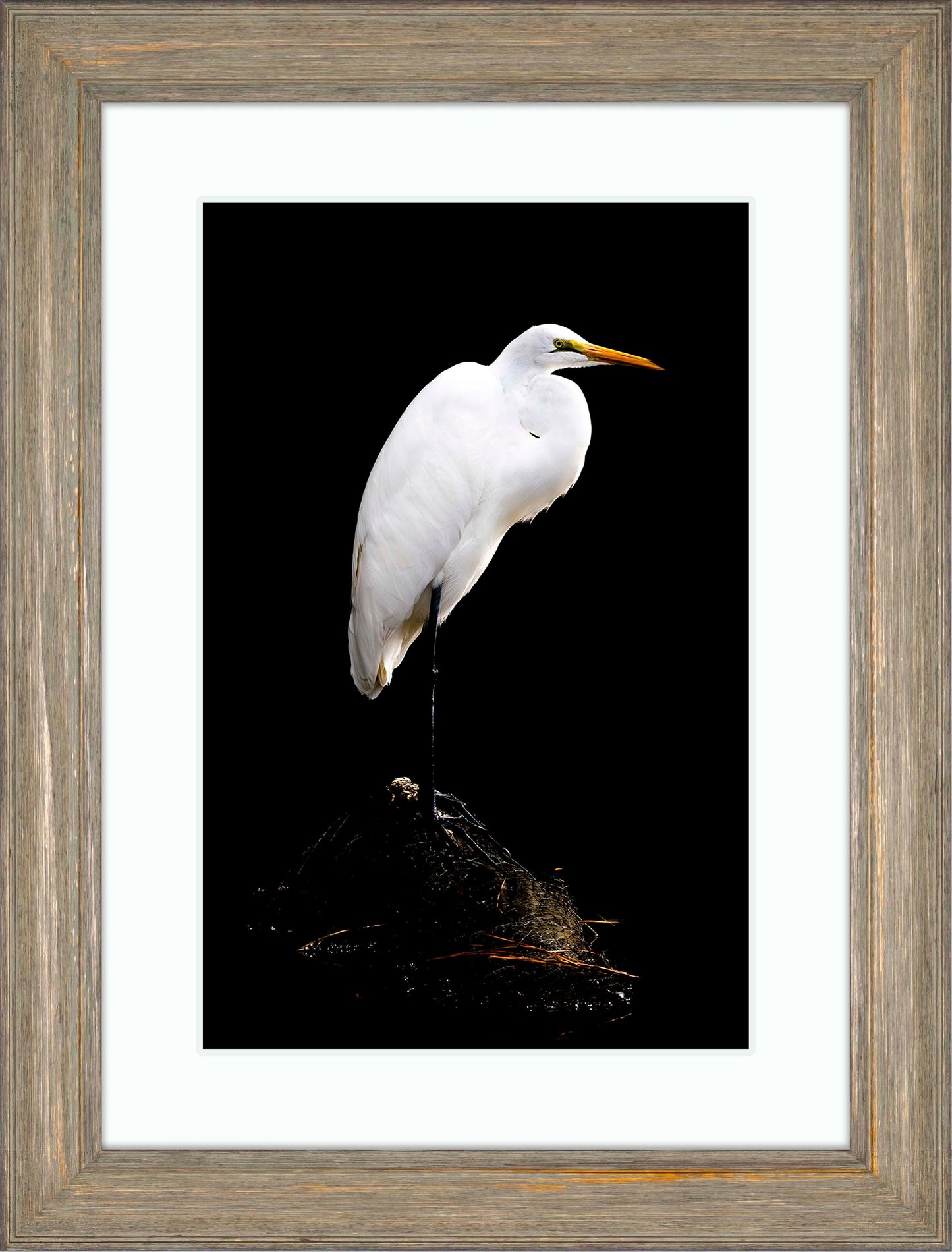 Studio in the Wild -- Digital Print