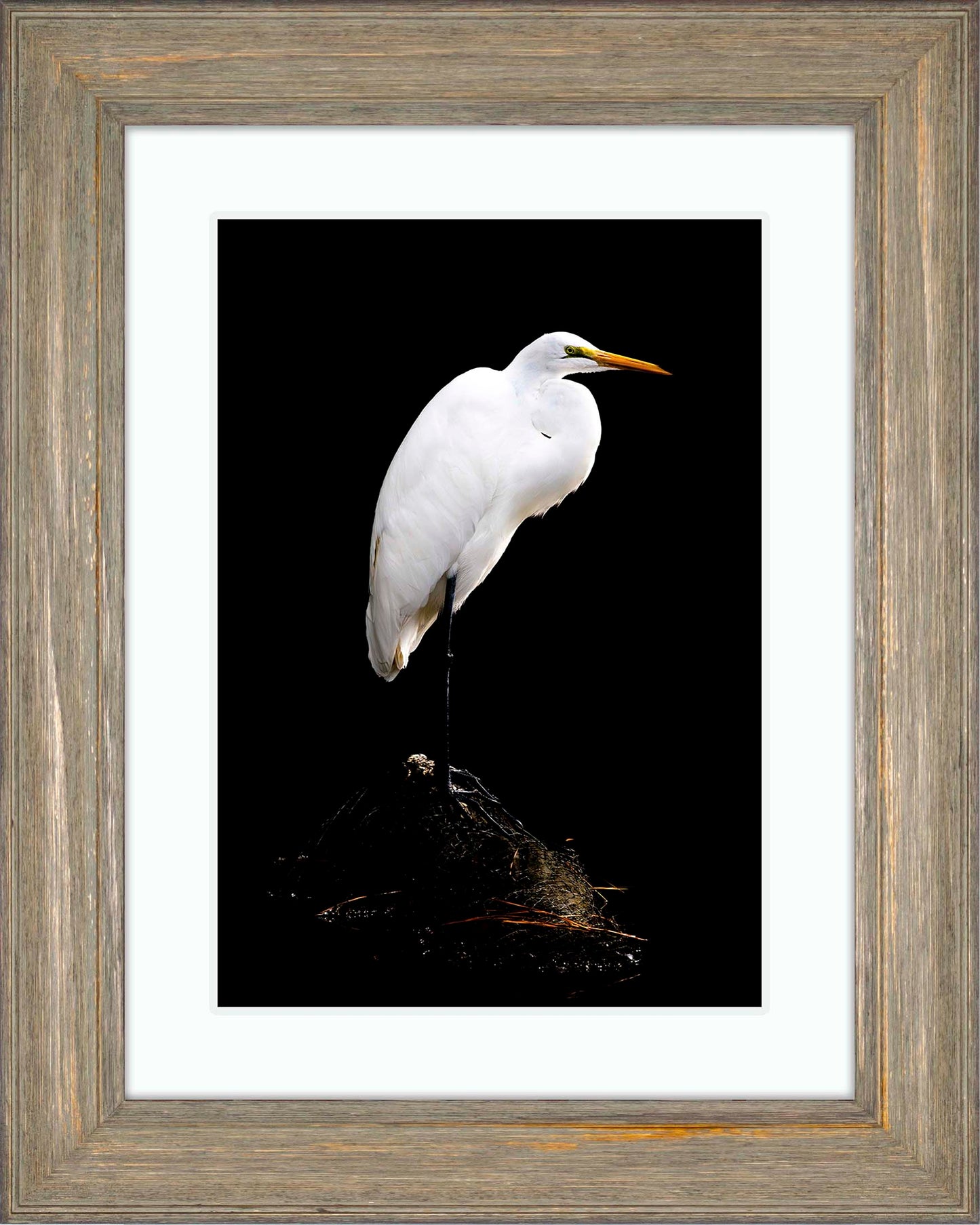 Studio in the Wild -- Digital Print