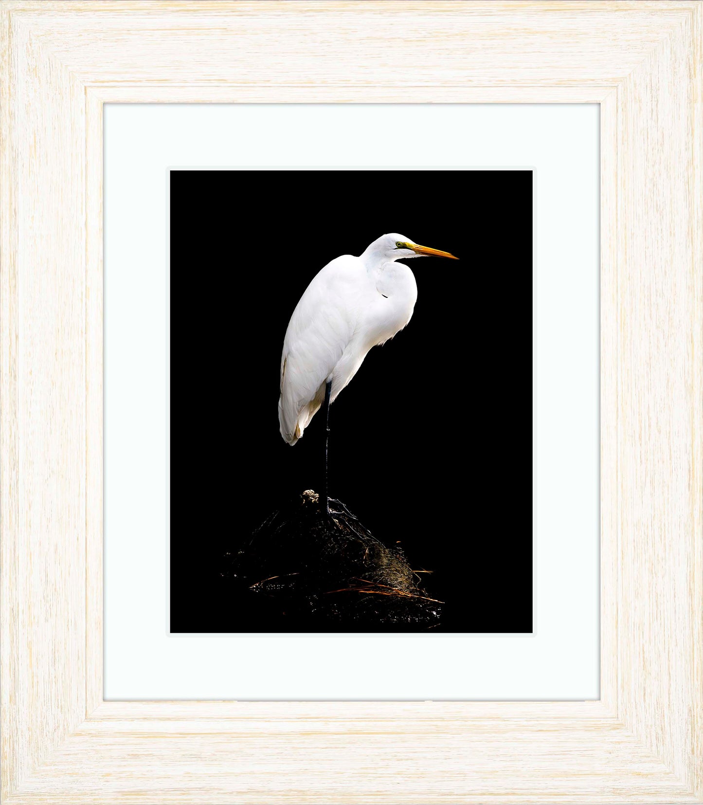 Studio in the Wild -- Digital Print