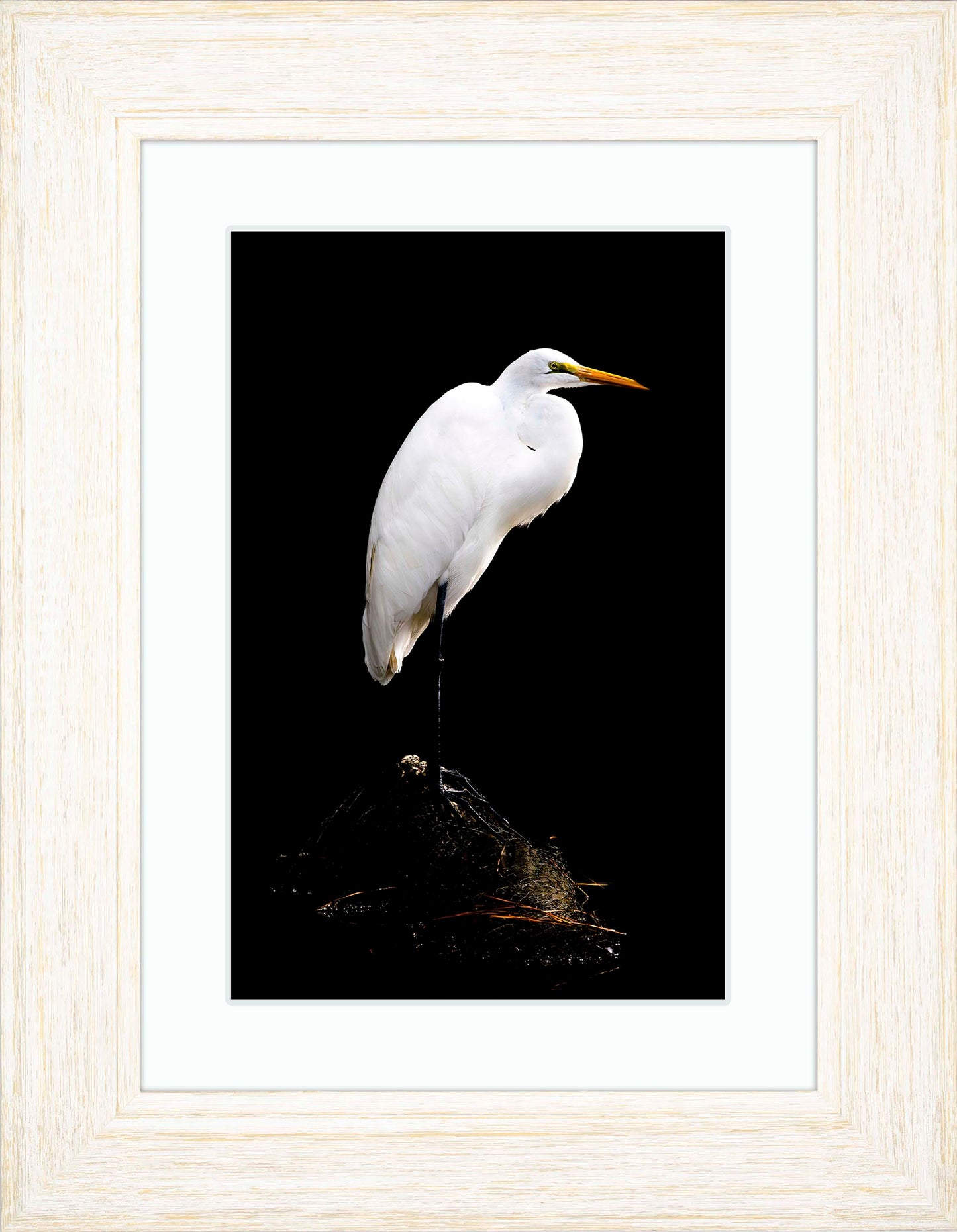 Studio in the Wild -- Digital Print