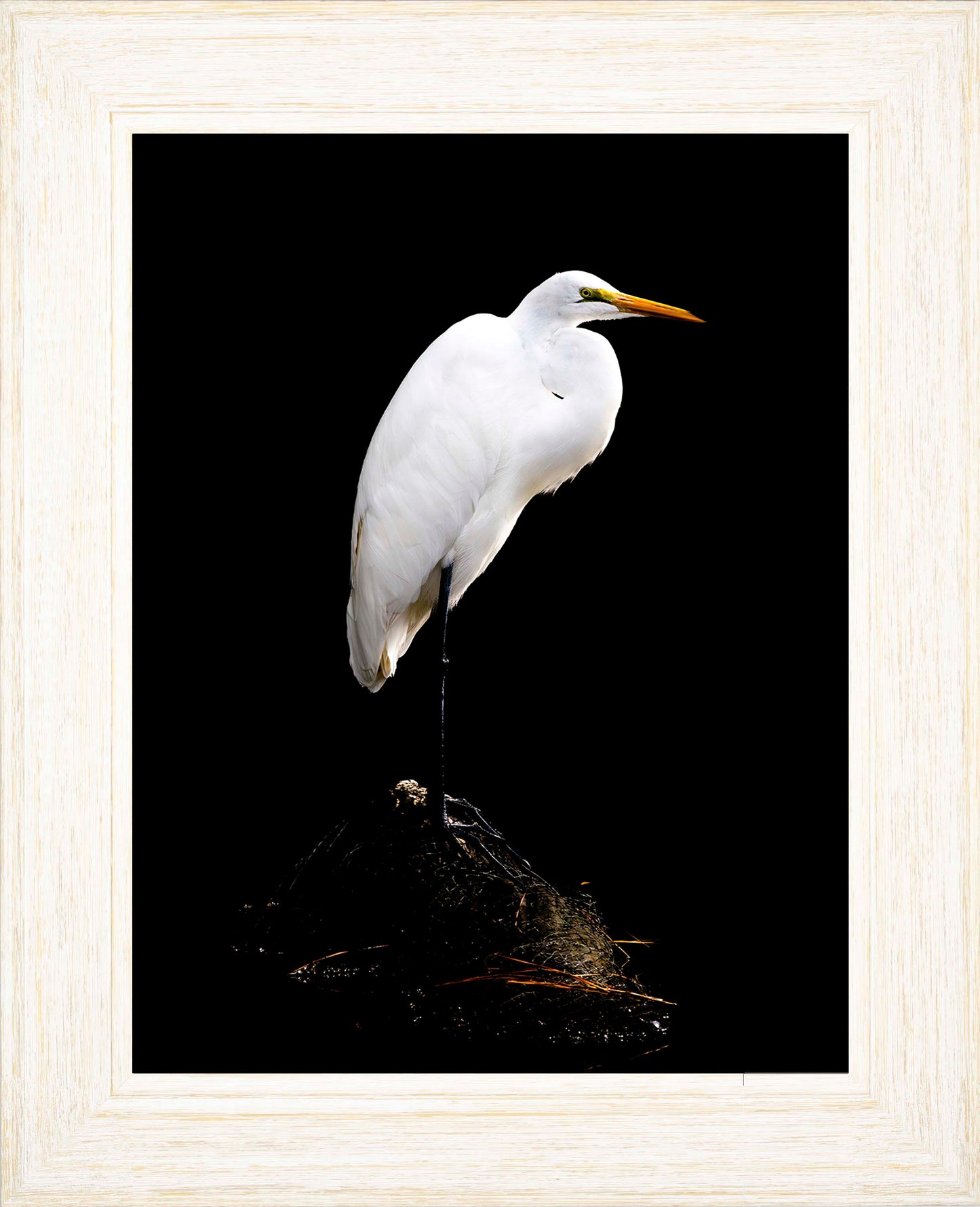 Studio in the Wild -- Digital Print