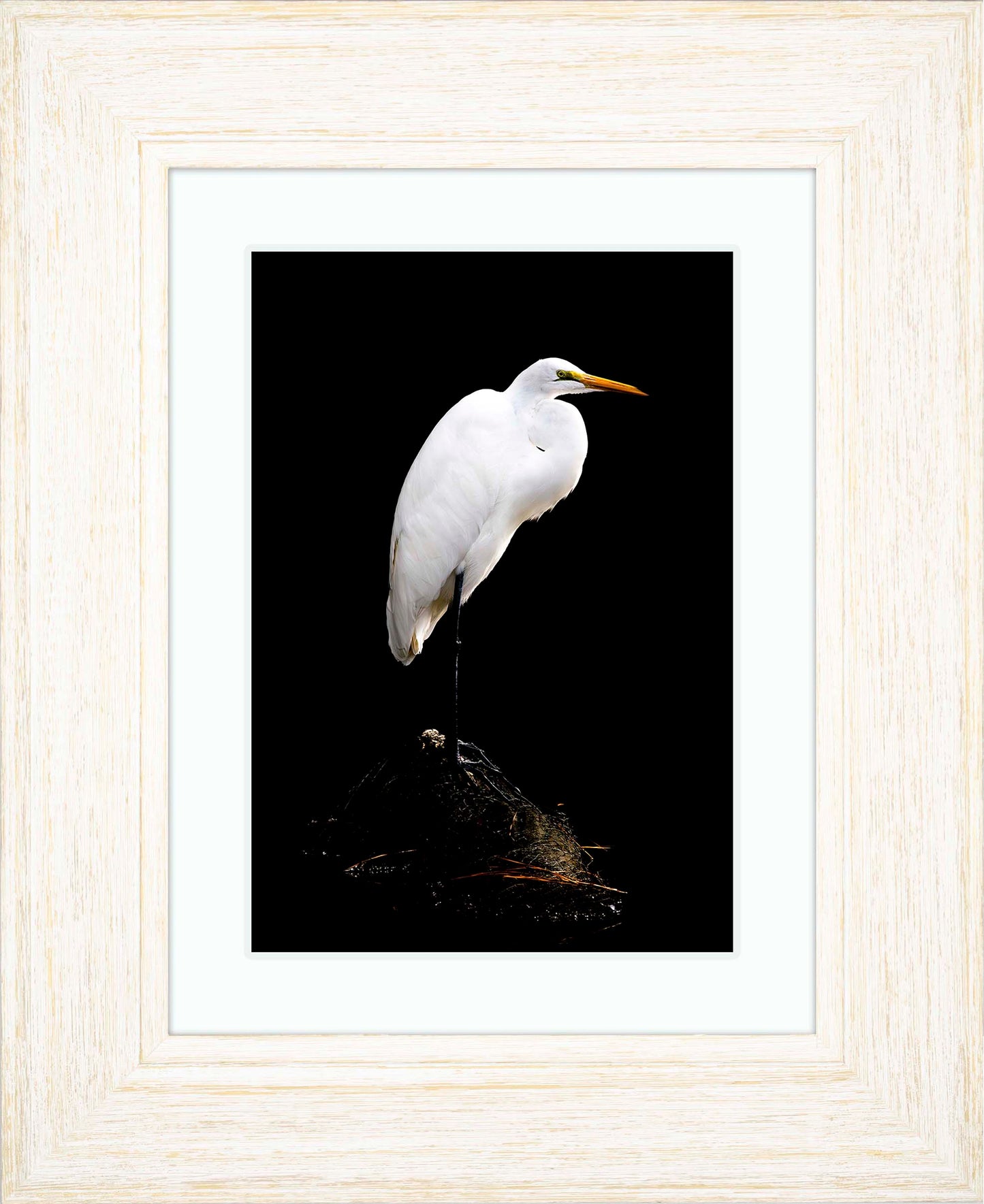 Studio in the Wild -- Digital Print