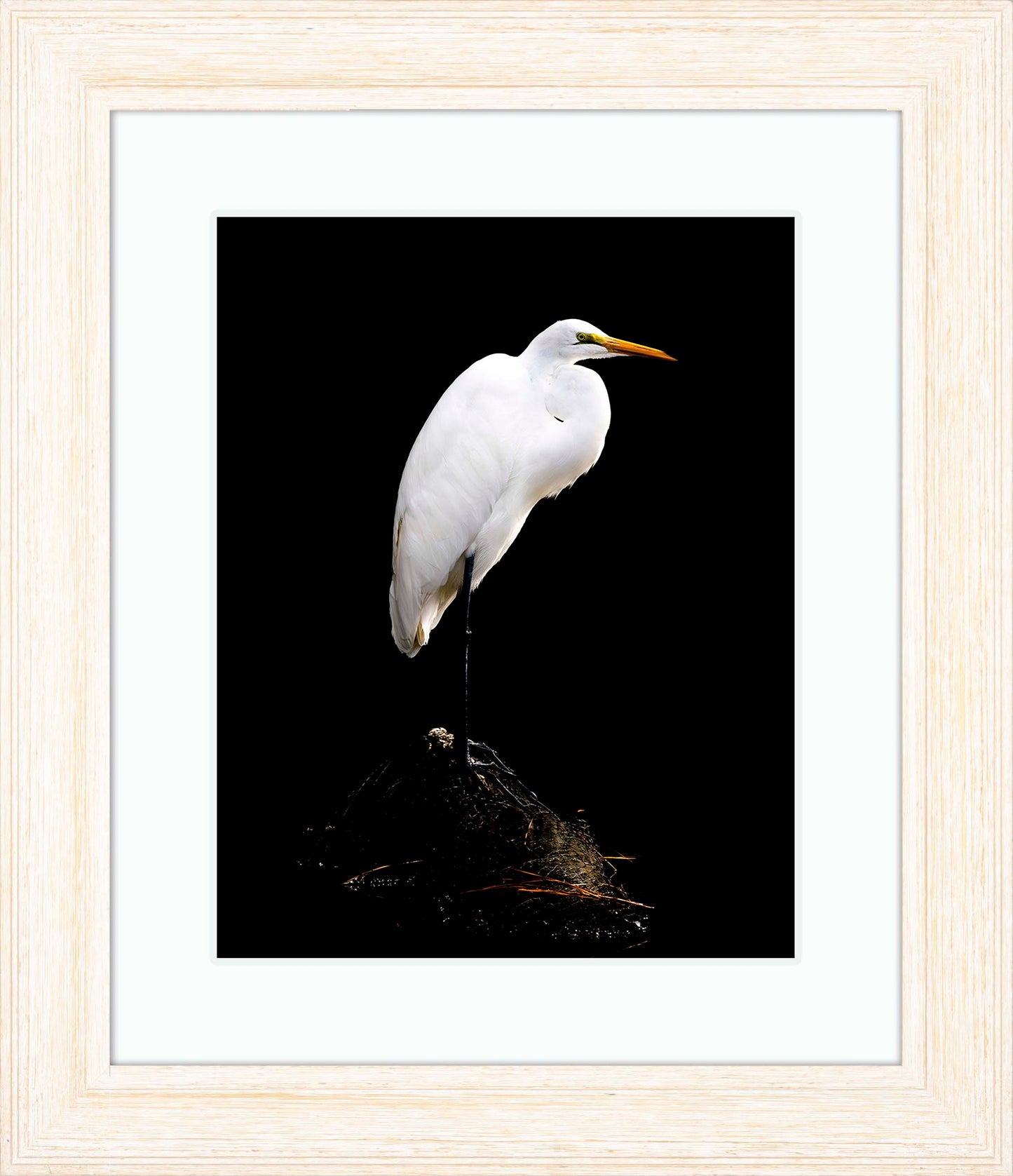 Studio in the Wild -- Digital Print