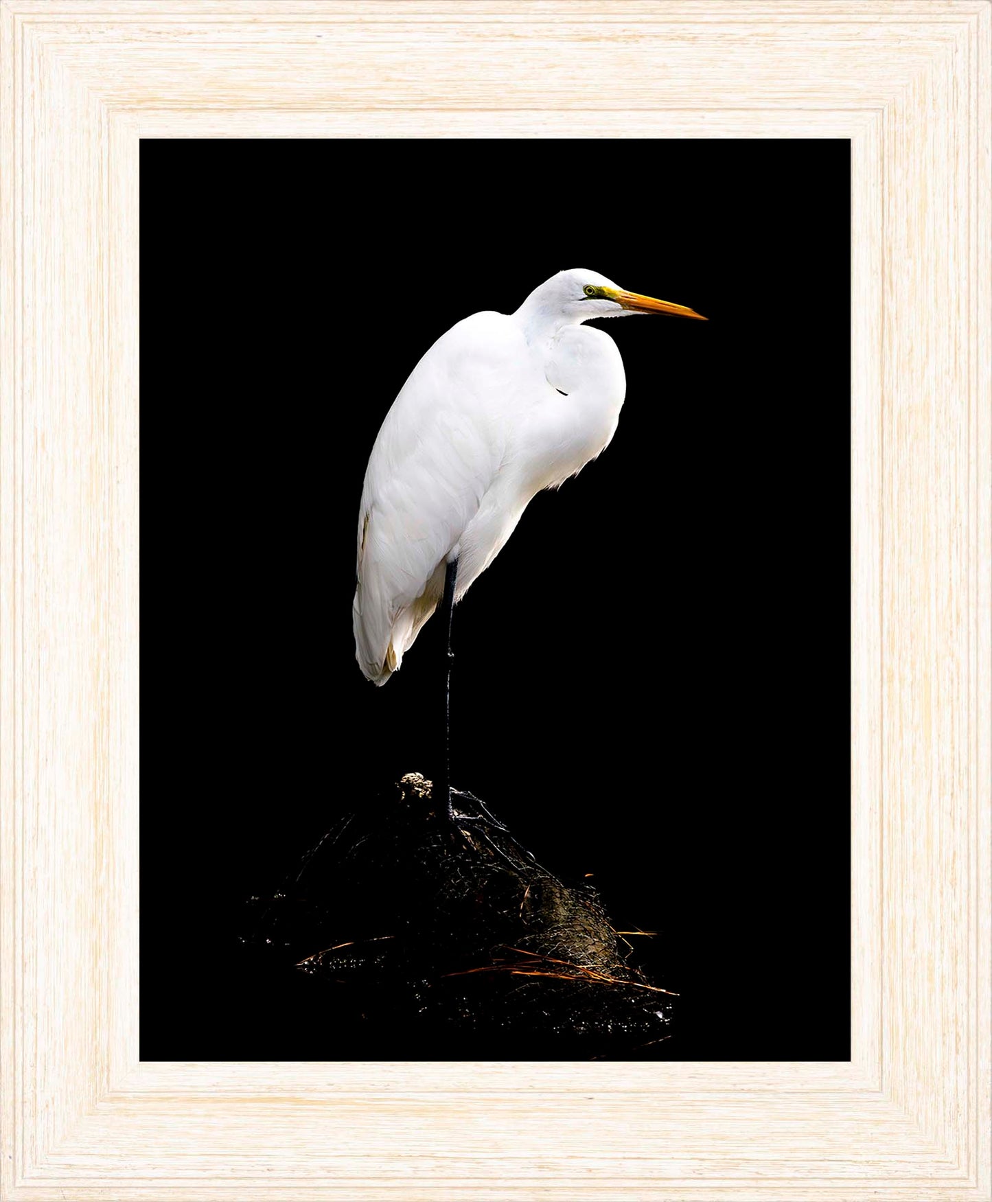 Studio in the Wild -- Digital Print