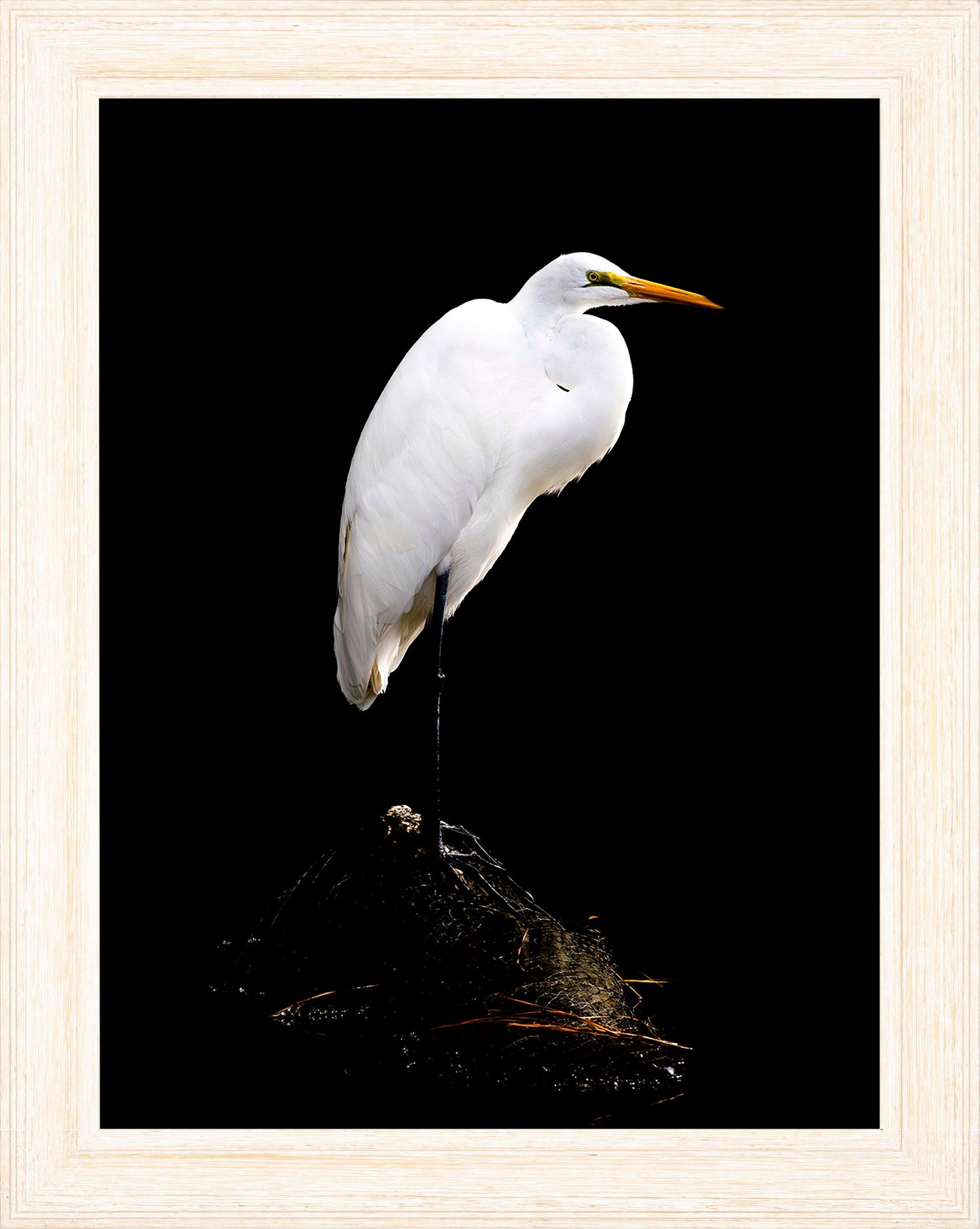 Studio in the Wild -- Digital Print