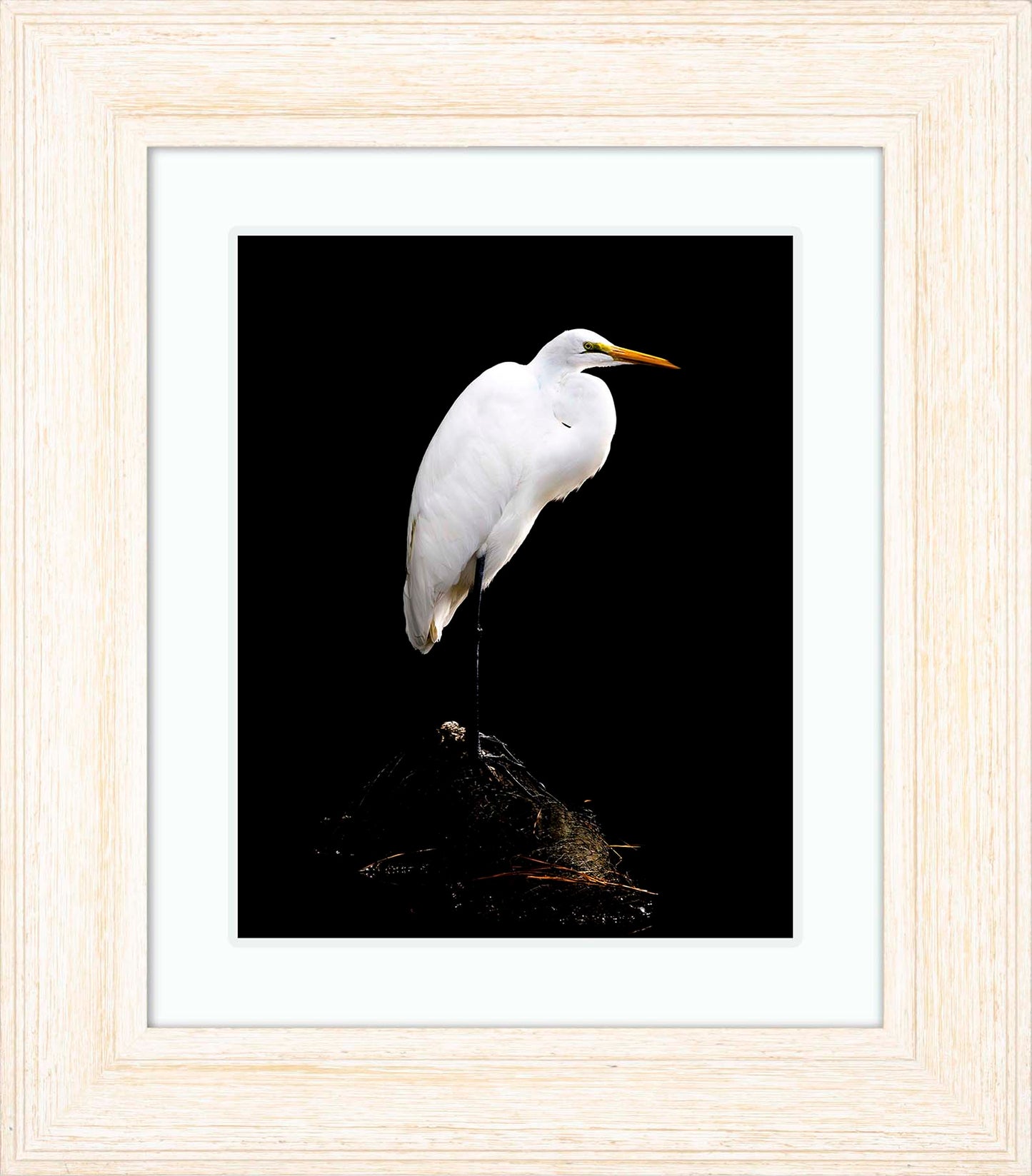 Studio in the Wild -- Digital Print