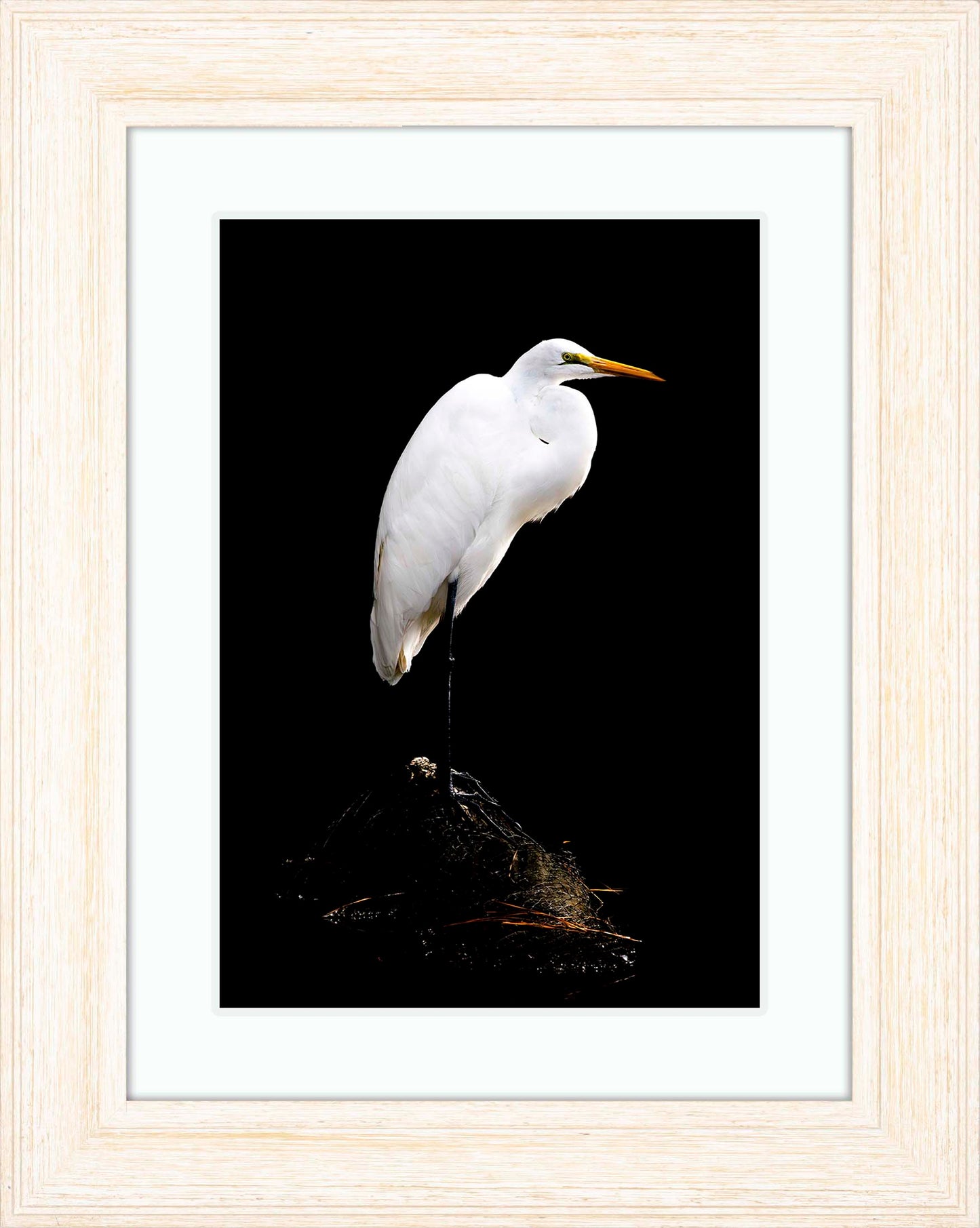Studio in the Wild -- Digital Print