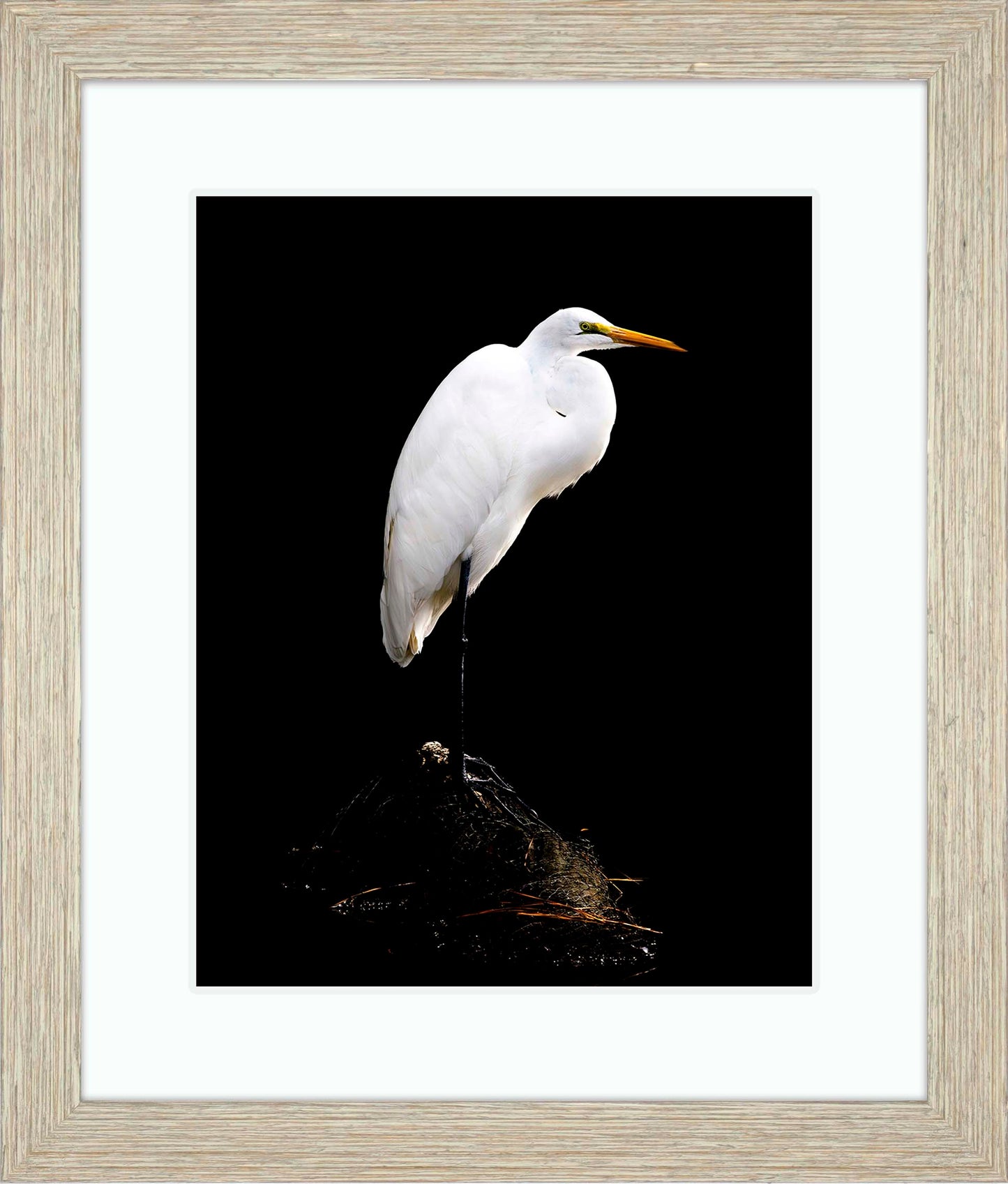 Studio in the Wild -- Digital Print