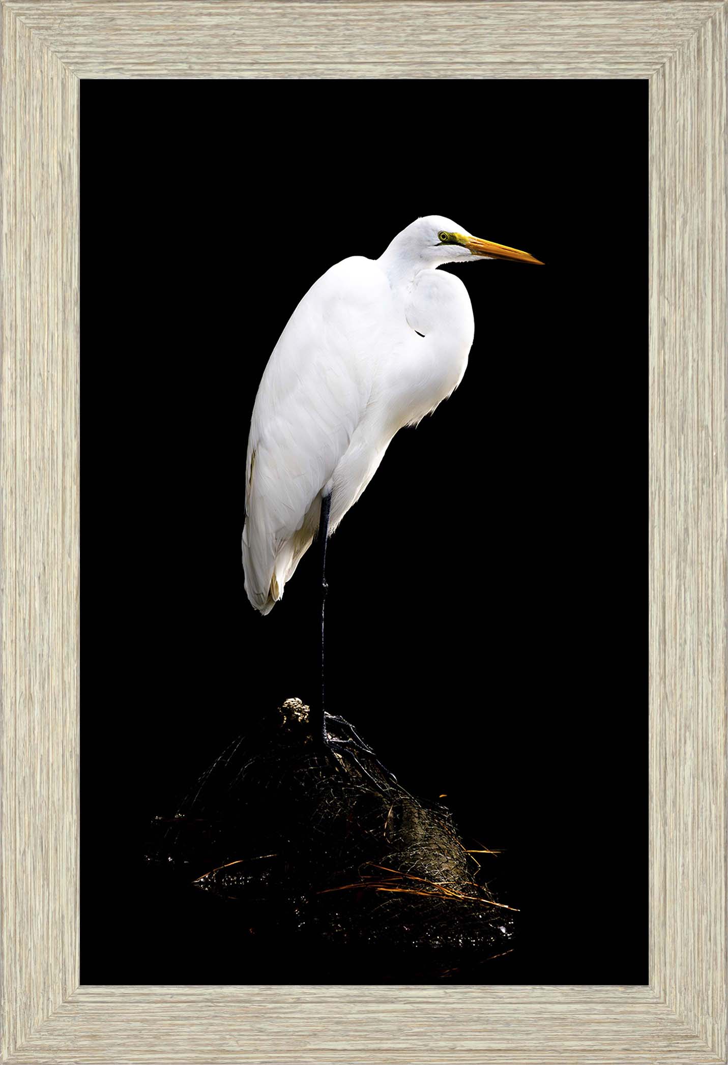 Studio in the Wild -- Digital Print