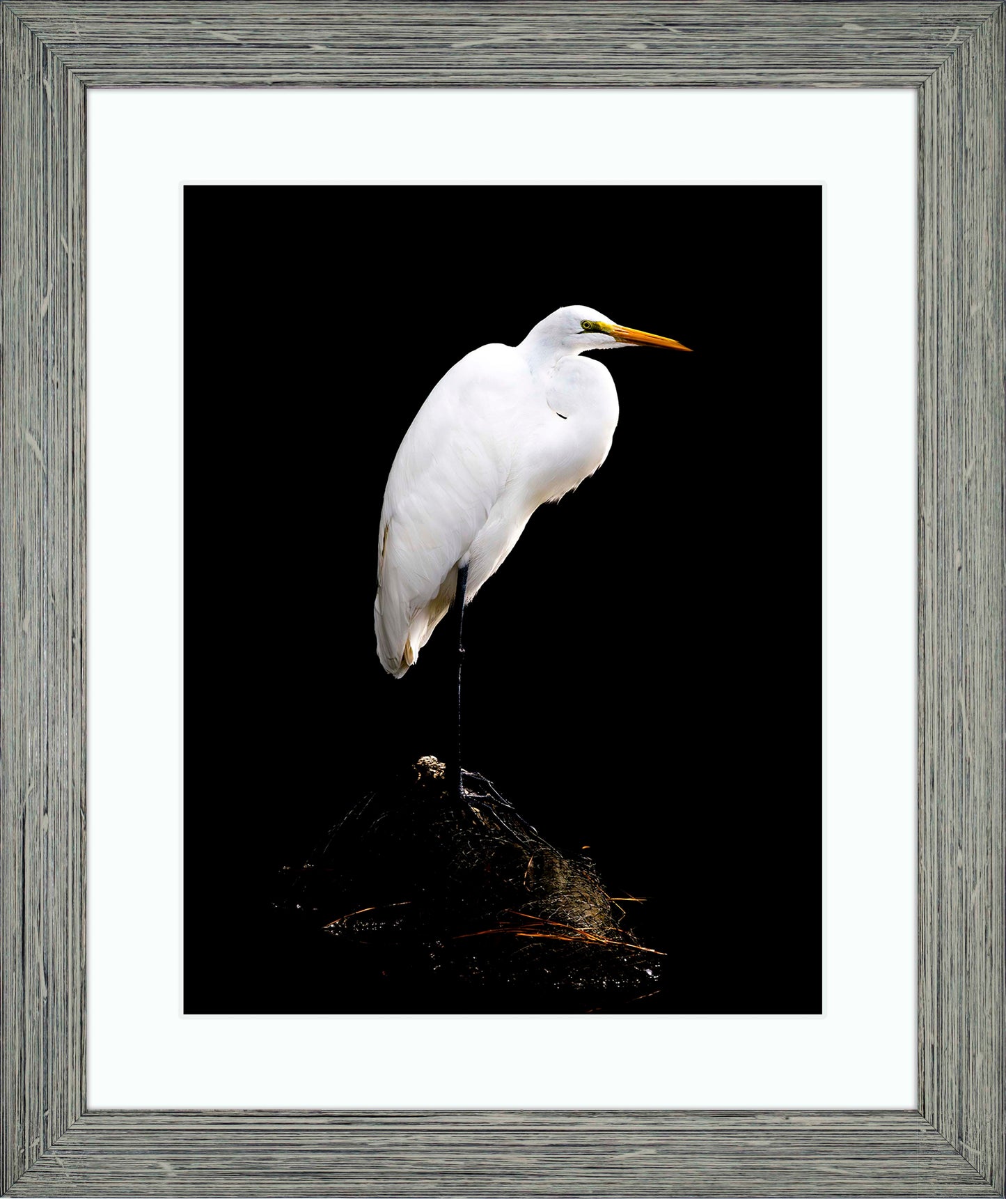Studio in the Wild -- Digital Print
