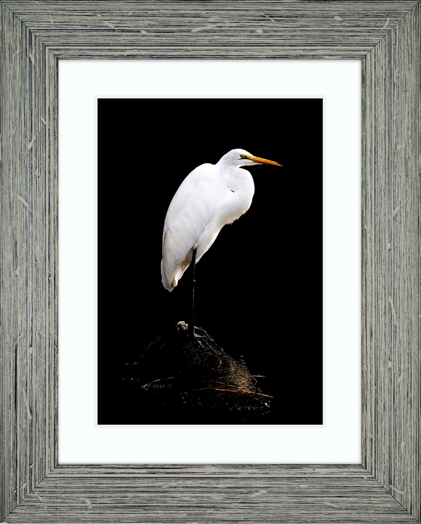 Studio in the Wild -- Digital Print